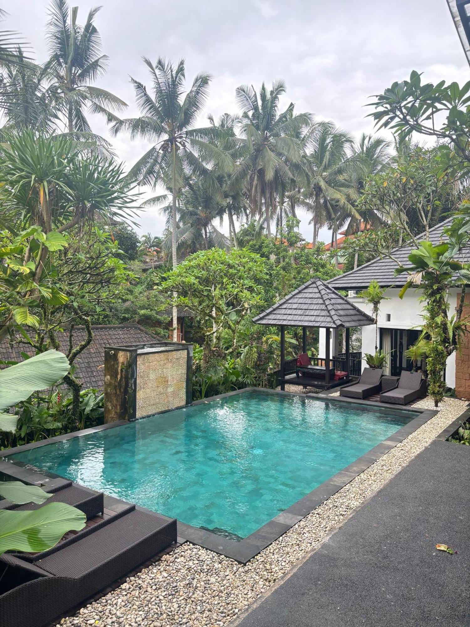 Guest house Igna