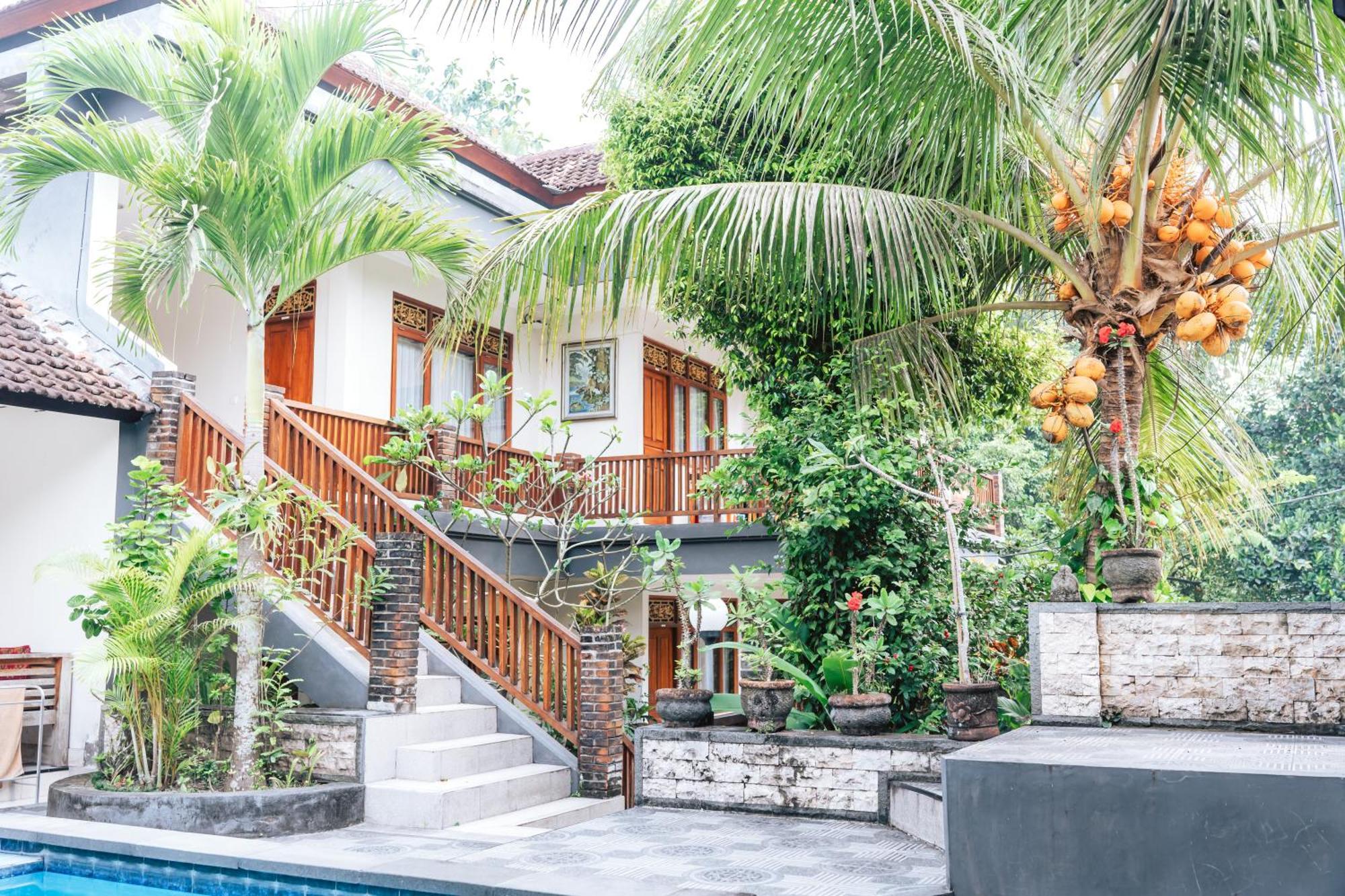 Balimas Guest house *