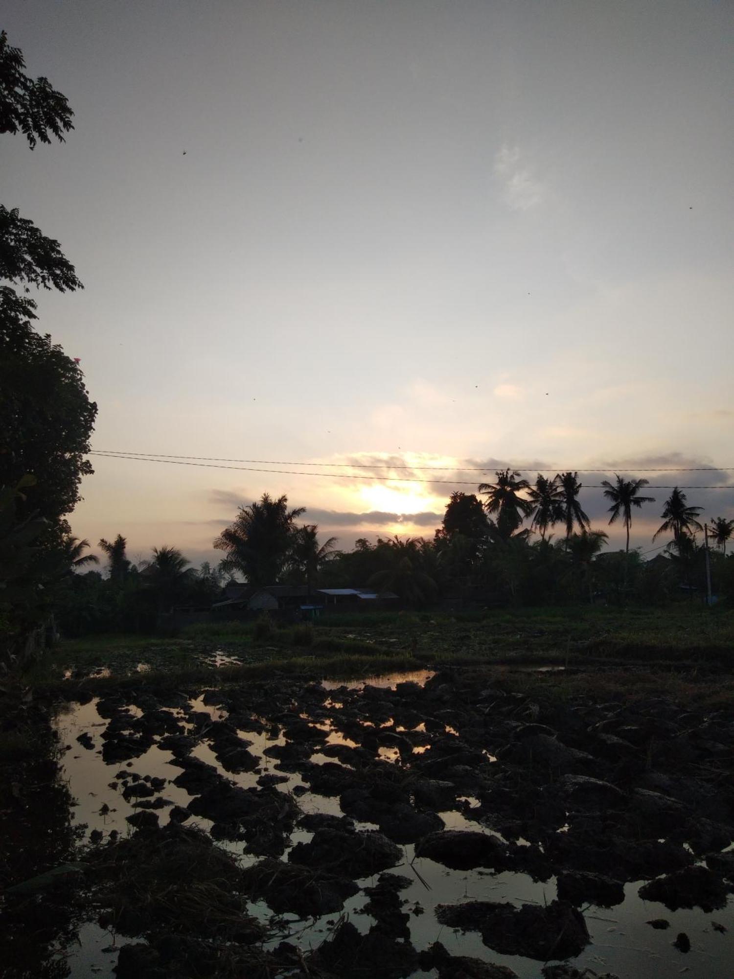 The Morgan * Ubud (Bali)