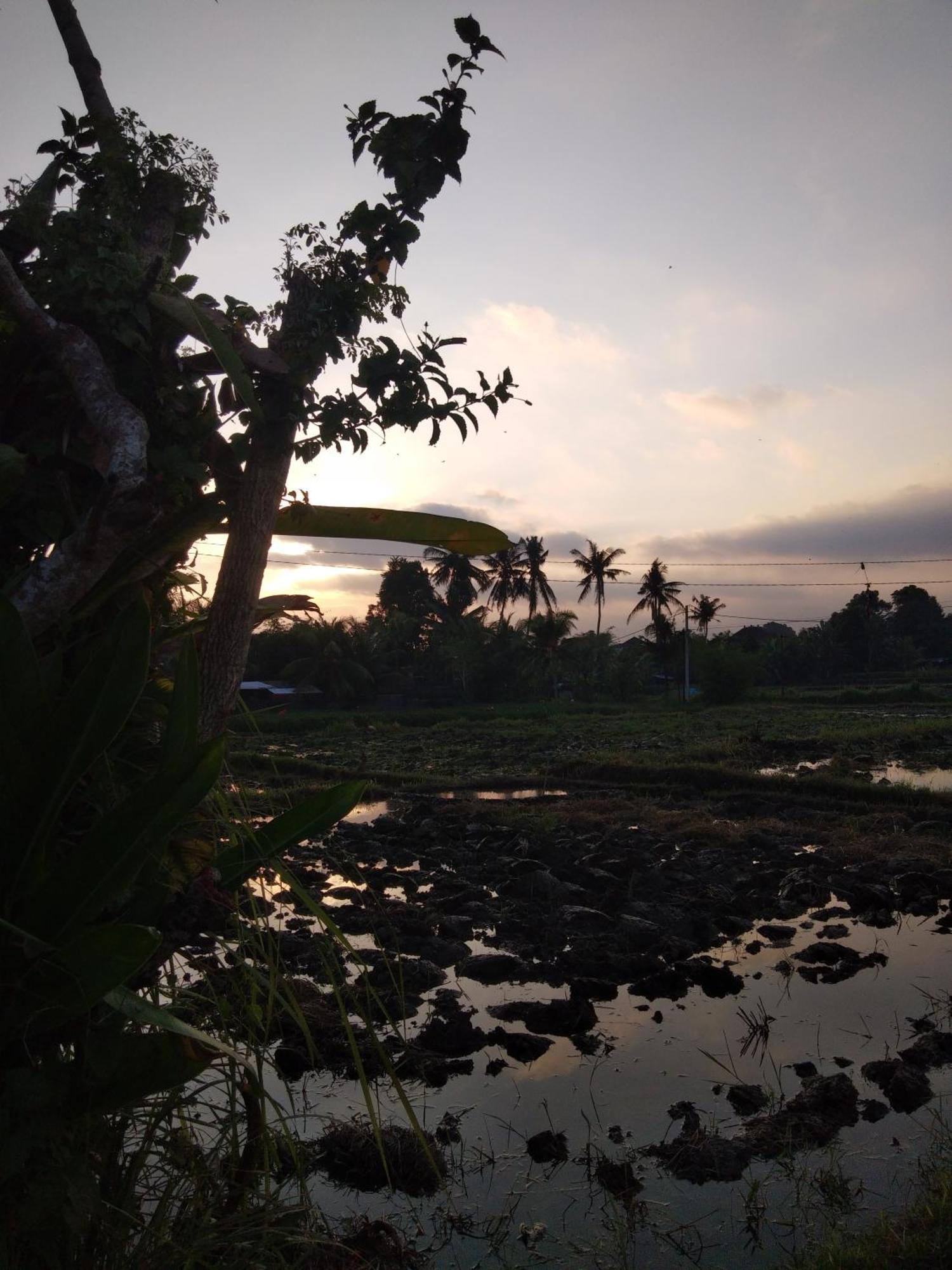 Villa The Morgan Ubud (Bali)