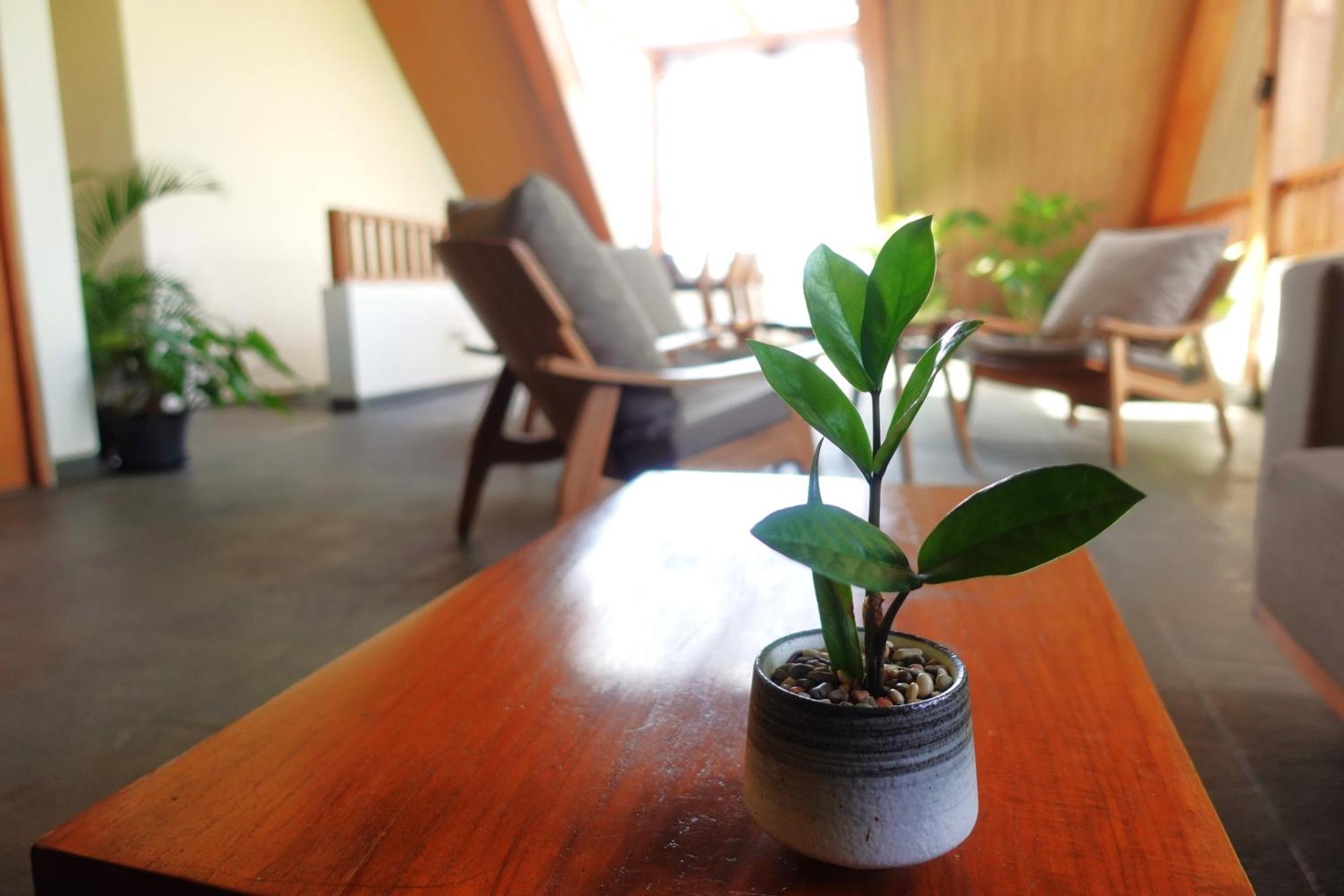 The Vinaya Boutique Ubud (Bali)