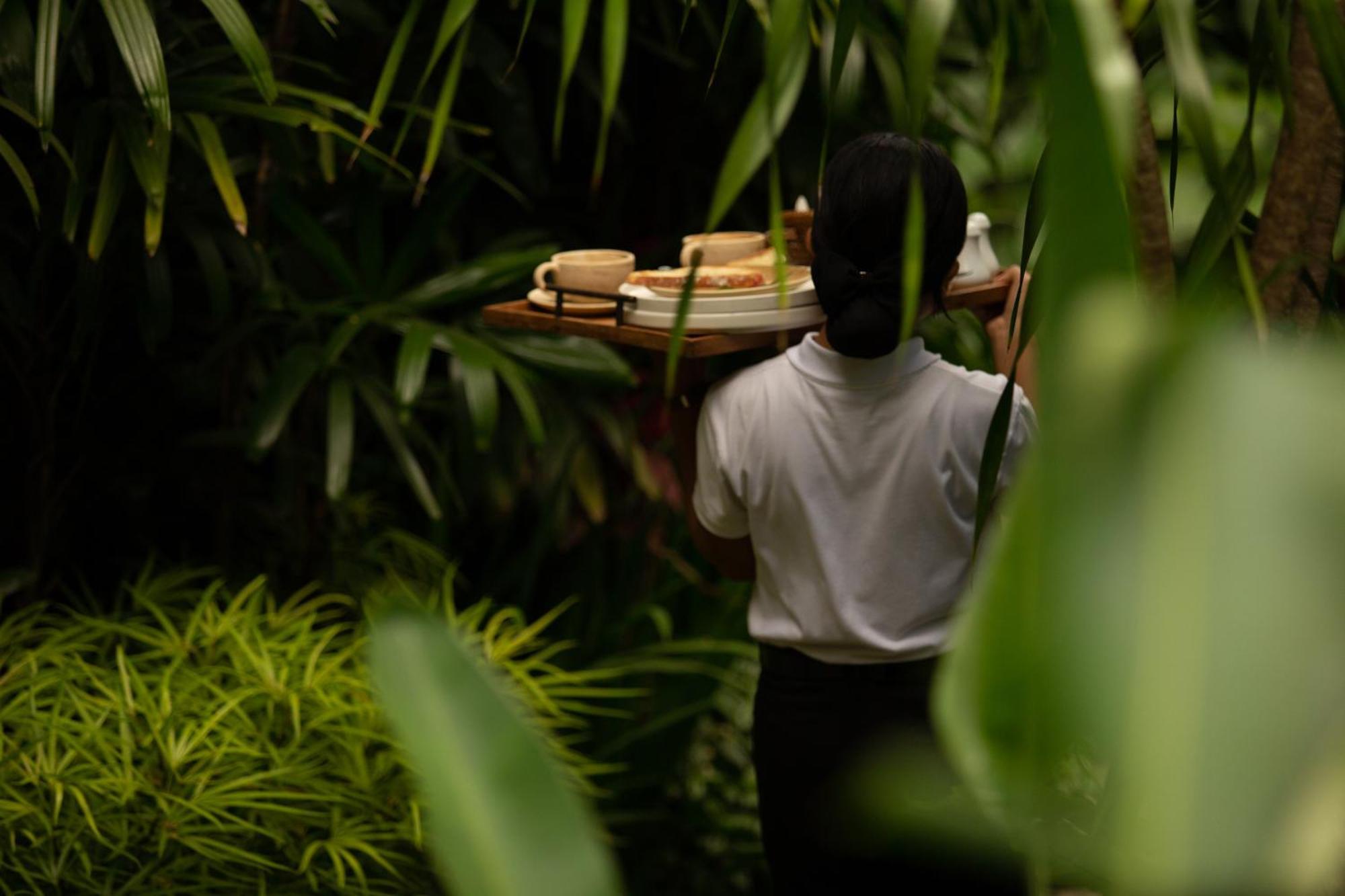 Honai Resort Ubud (Bali)