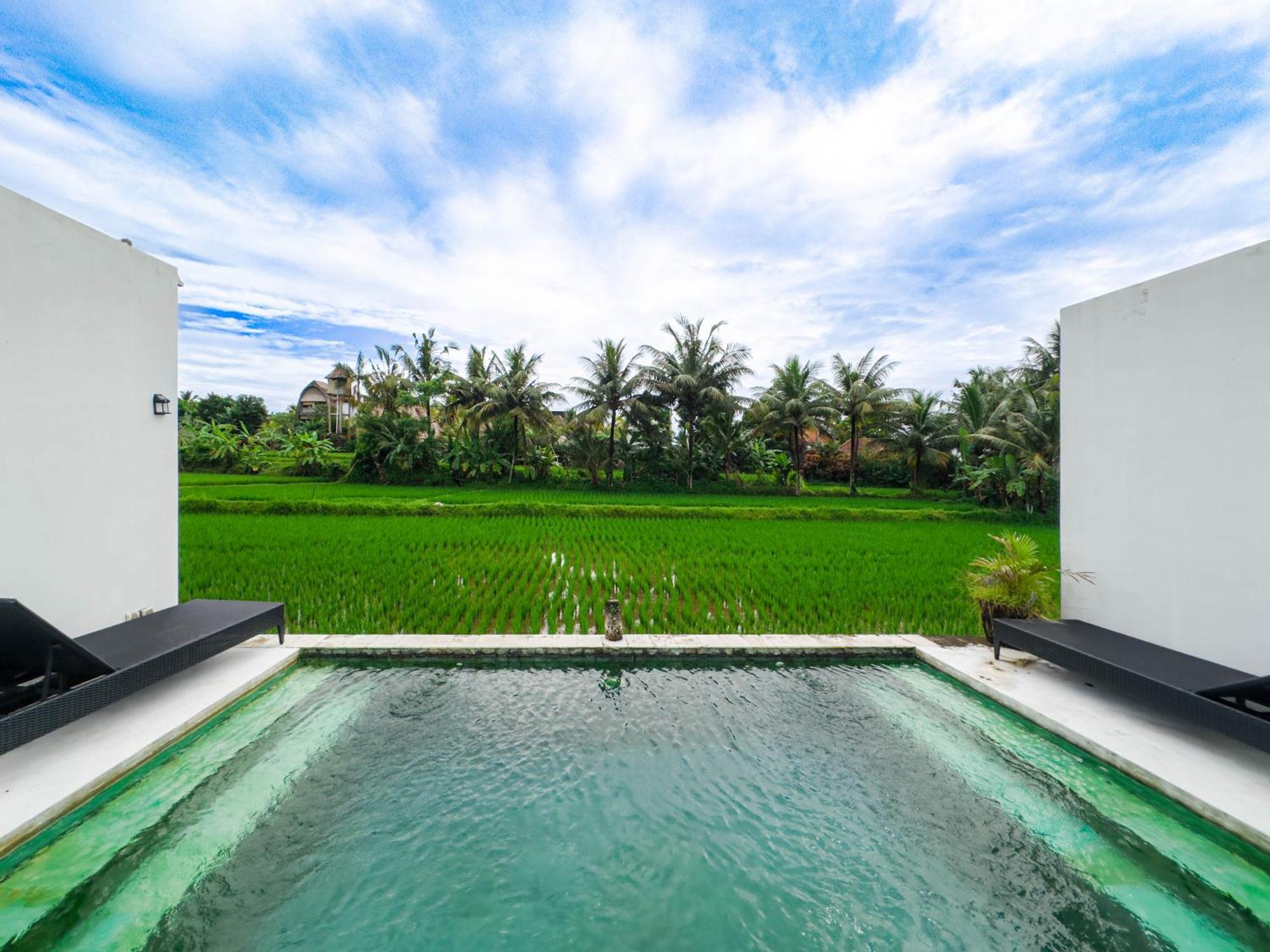 White Cubes Ubud