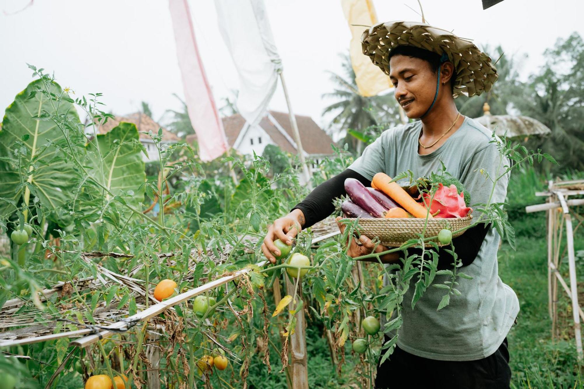 The Rice Joglo Eco-stay Gasthof Ubud