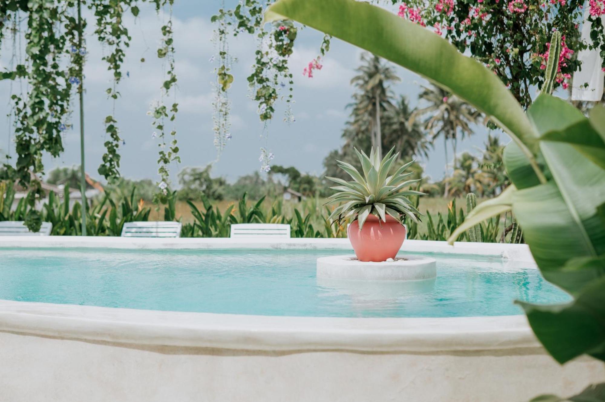 The Rice Joglo Eco-stay Ubud