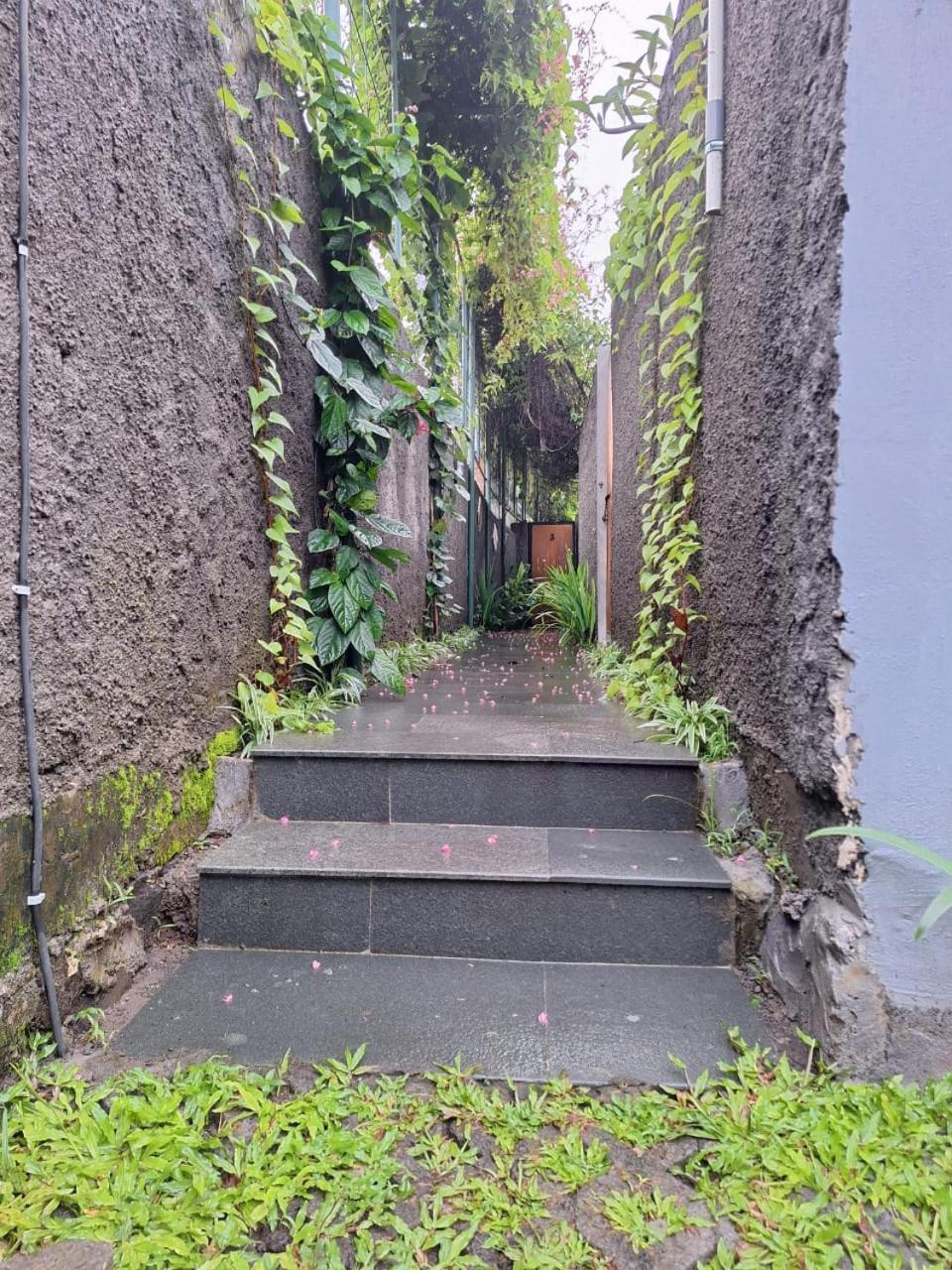 Villa Semanggi Private Ubud (Bali)