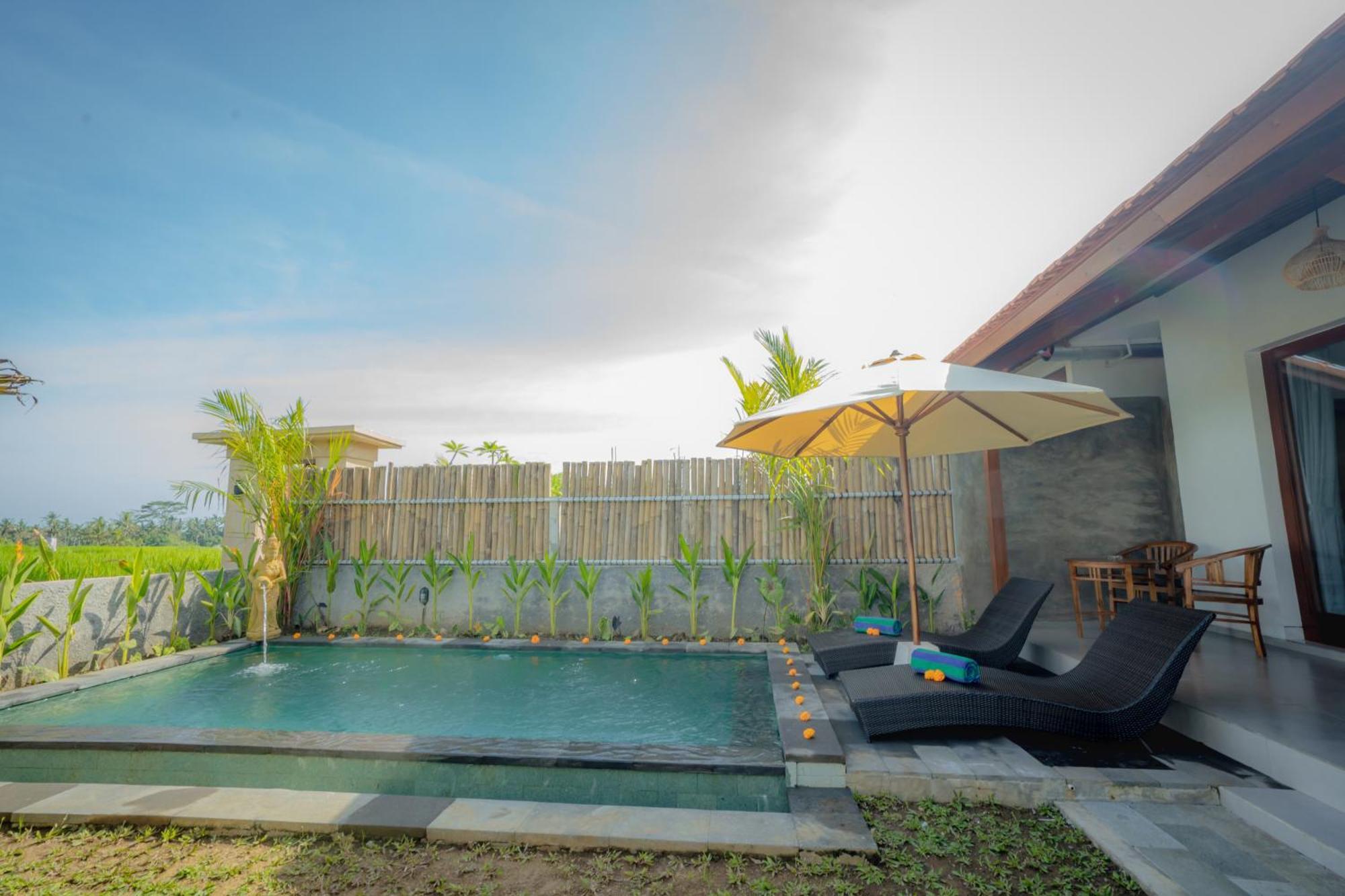 The Wise Villa