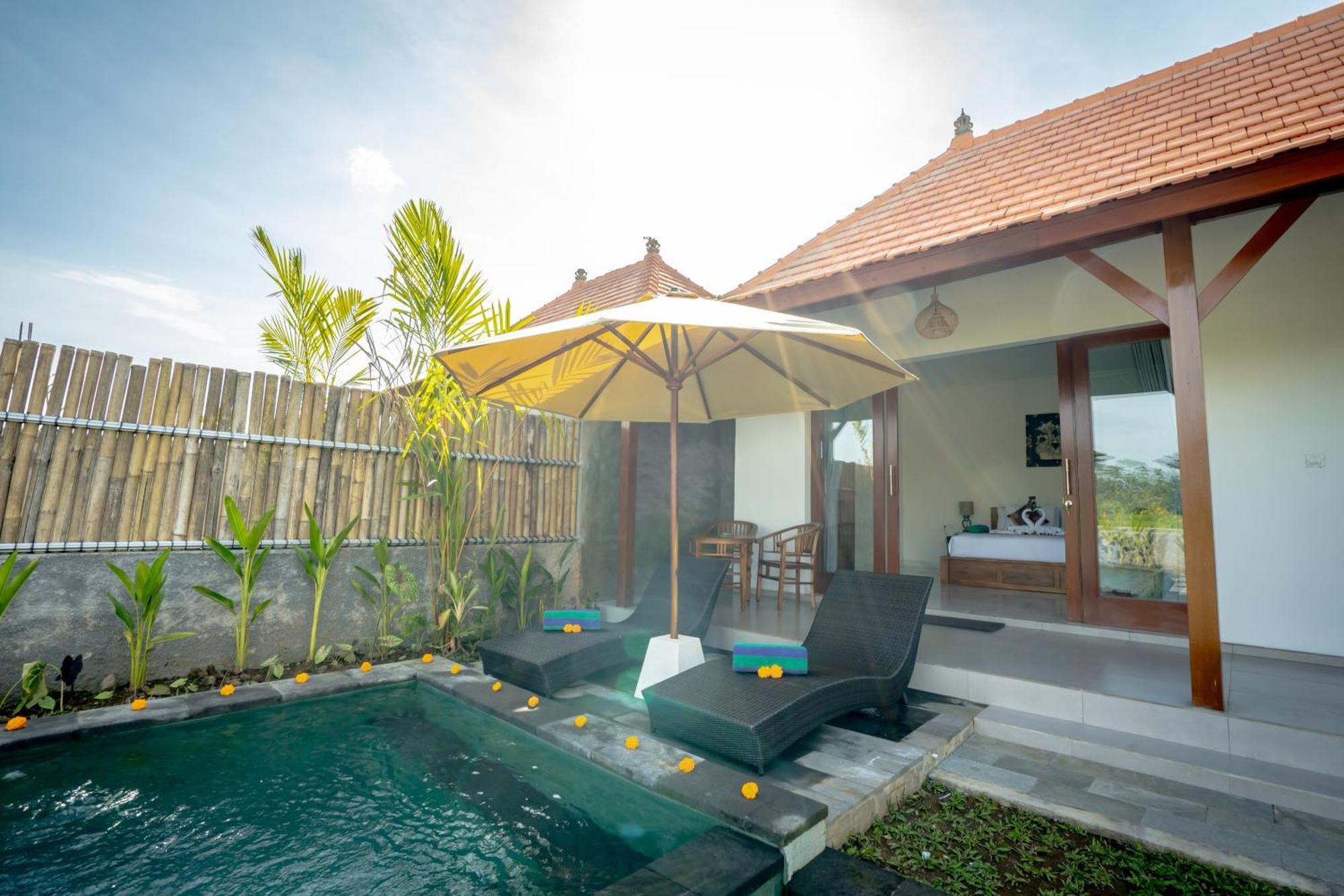 The Wise Villa *
