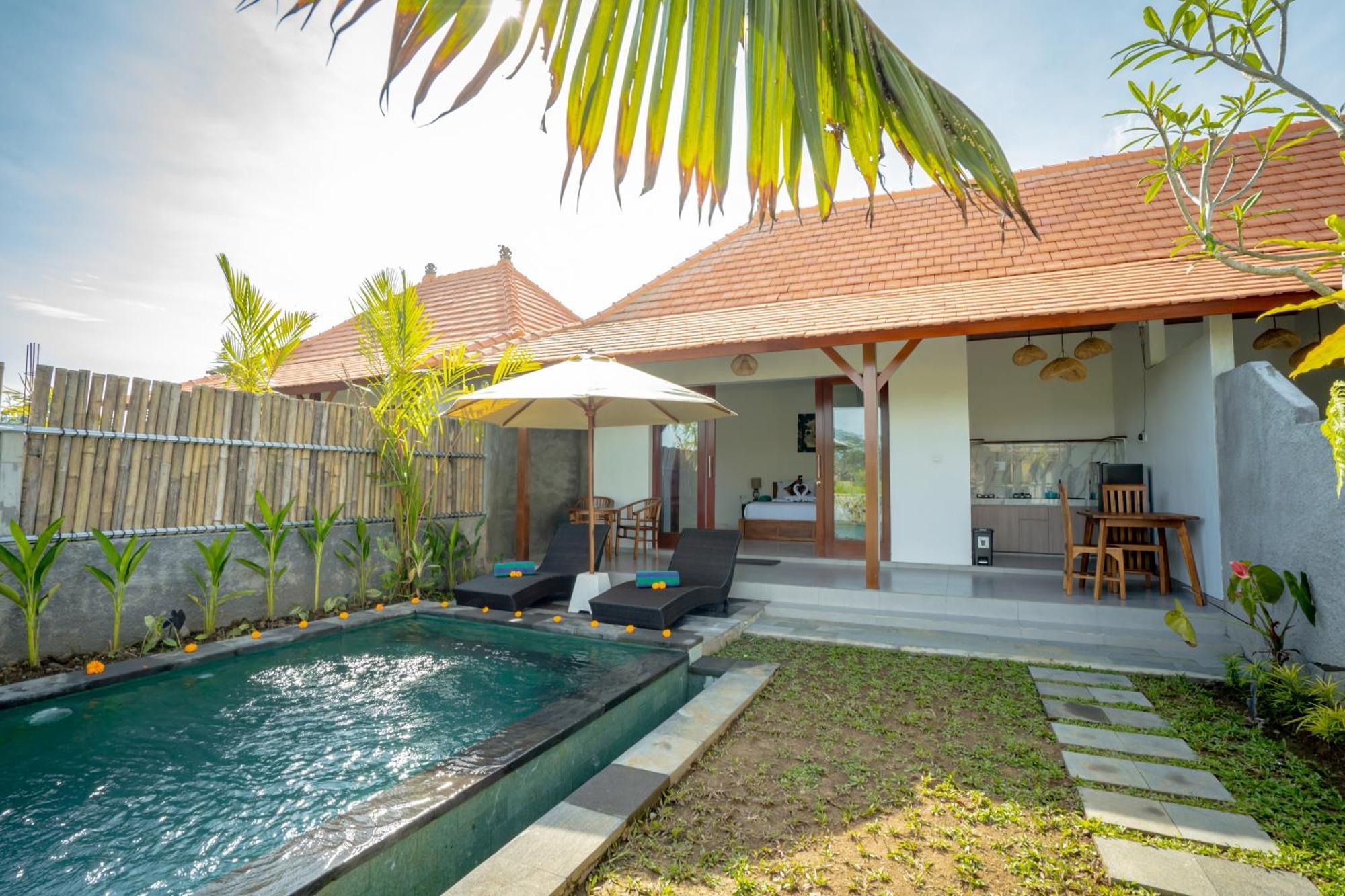 The Wise Villa