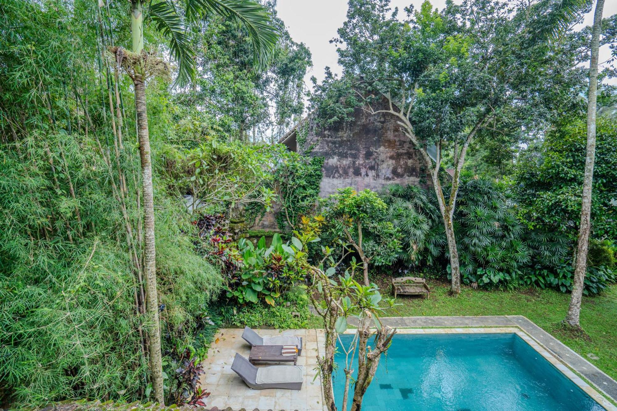 Ruben - 4 Bedrooms Jungle Holiday home