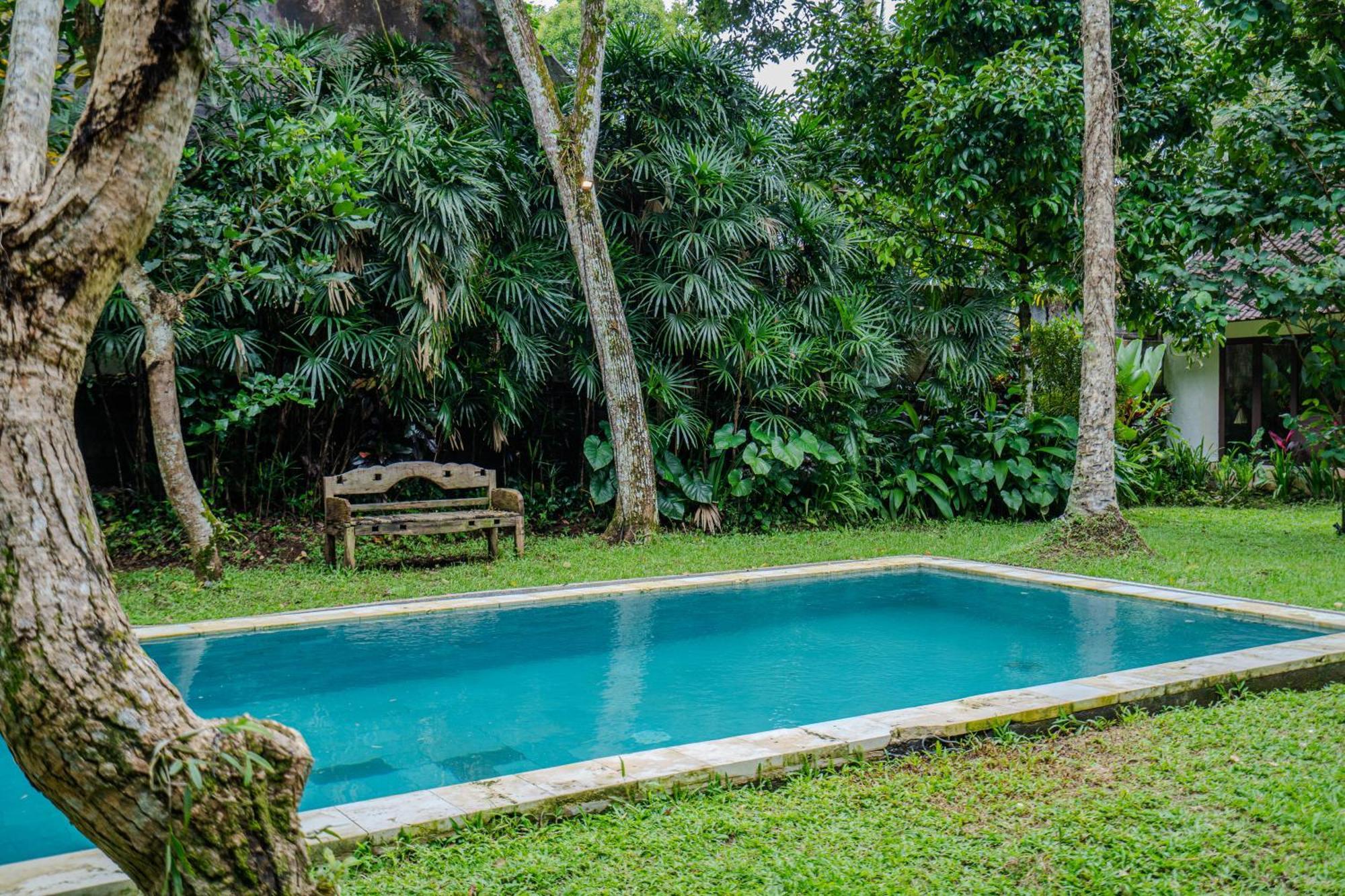 Ruben - 4 Bedrooms Jungle *