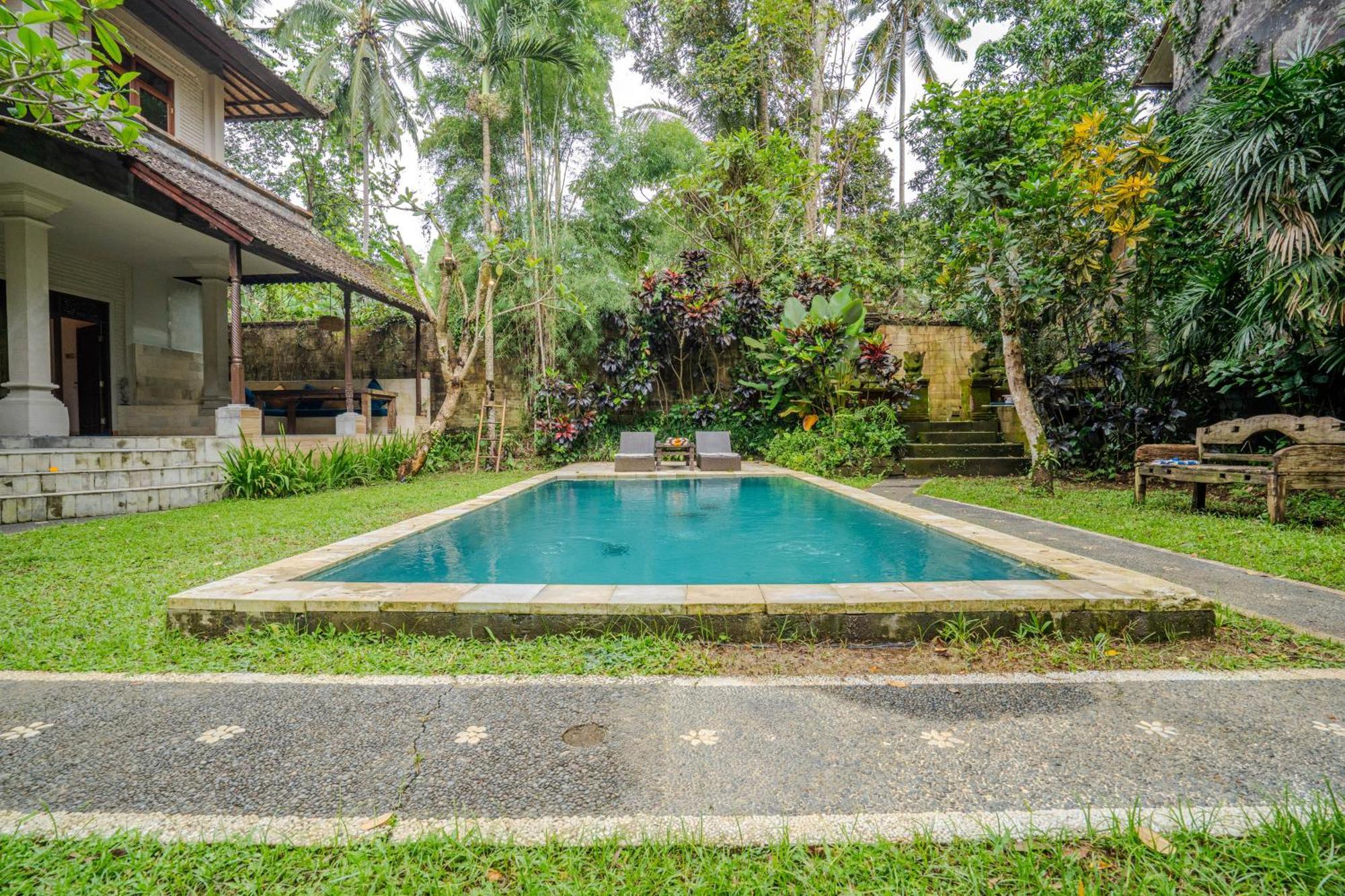 Ruben - 4 Bedrooms Jungle Holiday home