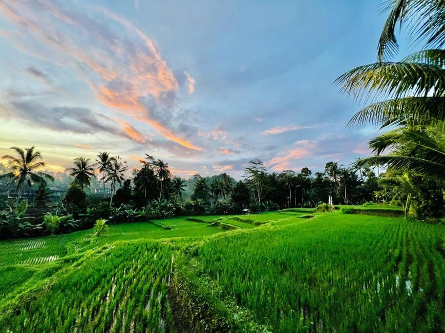 Villa Dervish Valley Bali 1 *