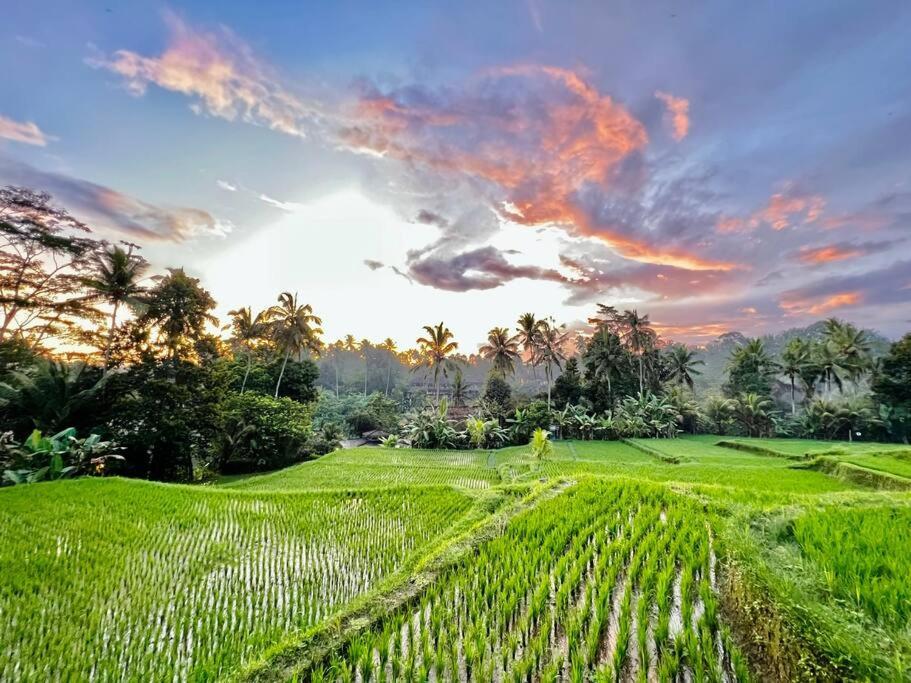 Dervish Valley Bali 1 Villa Ubud (Bali)
