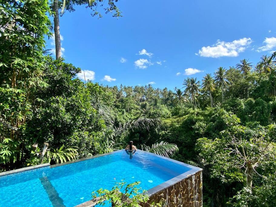 Dervish Valley Bali 1 Villa Ubud (Bali)