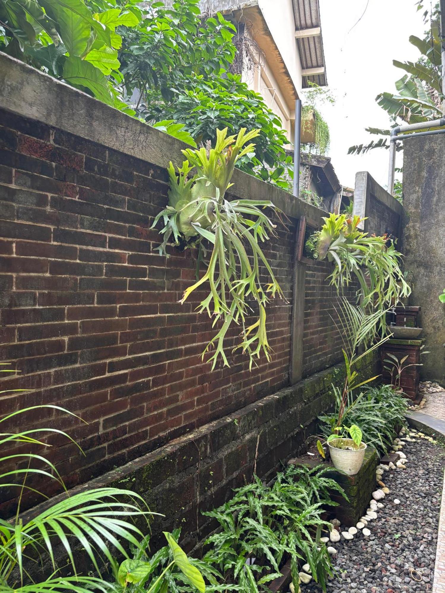 Adi Jaya By Eps - Chse Certified Guest house