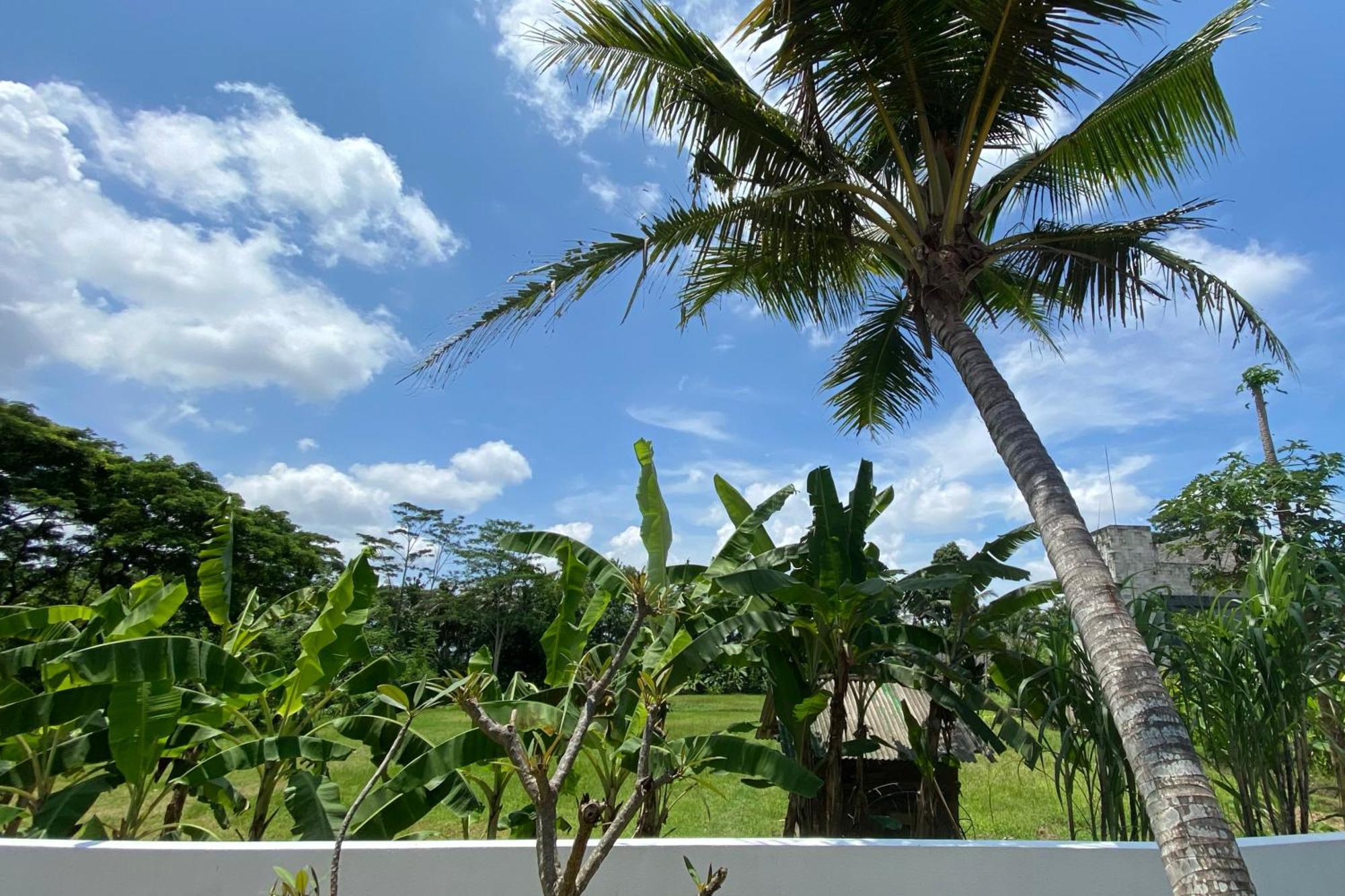 Villa Najma Ubud (Bali)