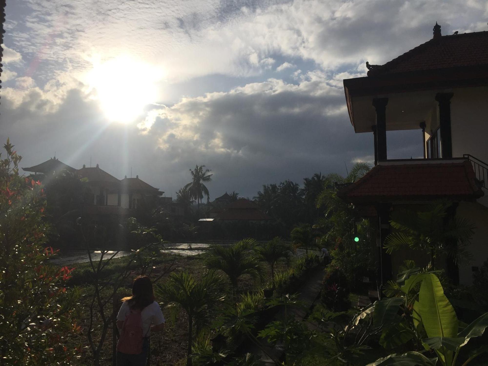 Sari * Ubud