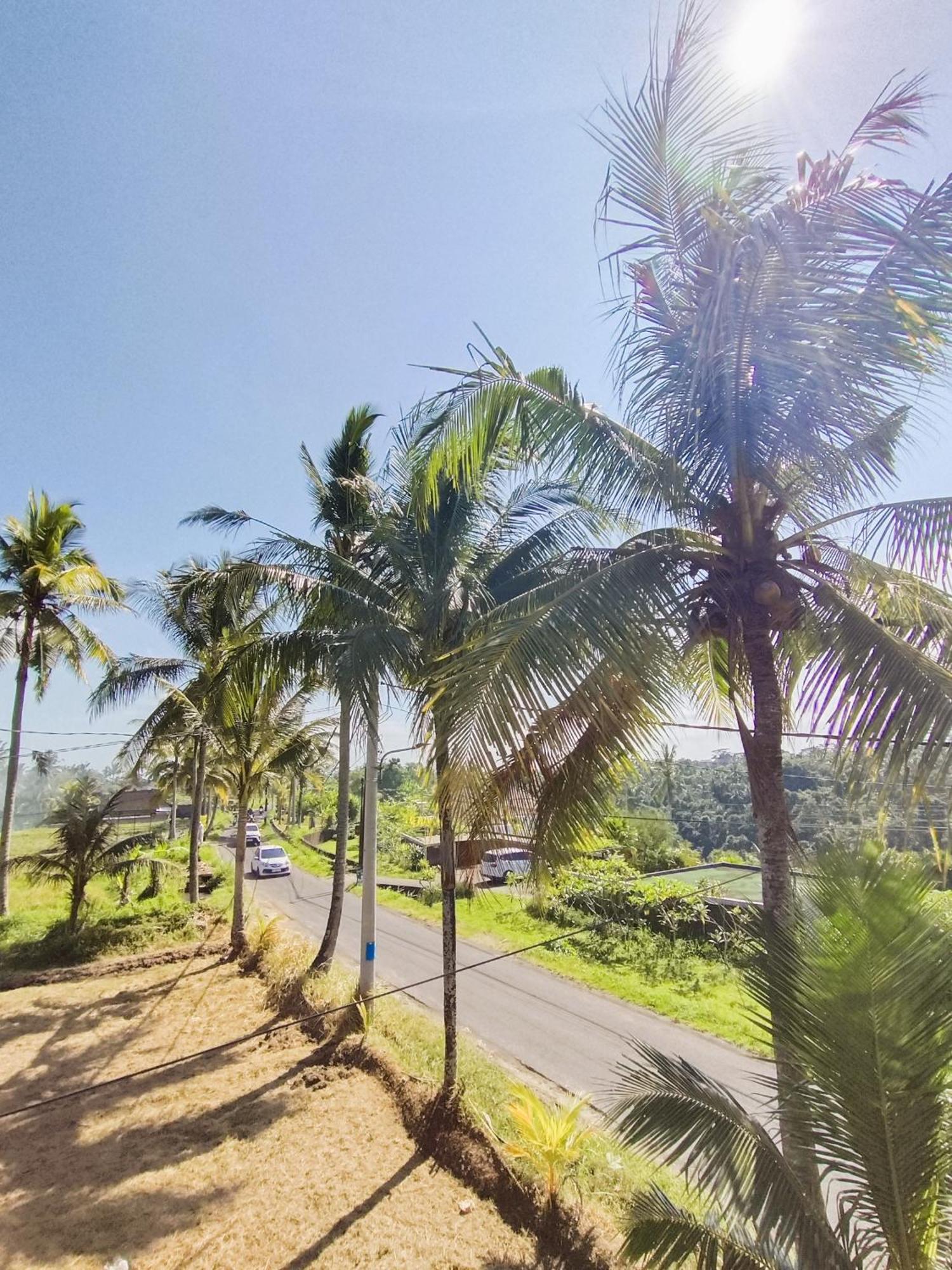 Ratu Ayu 8 Bedroom Villa Ubud (Bali)