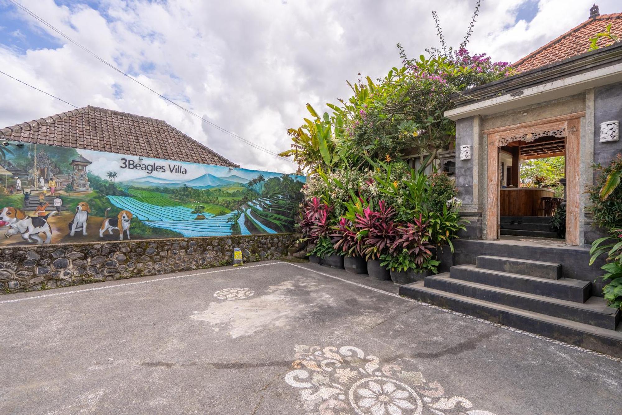 3 Beagle Guest house Ubud (Bali)
