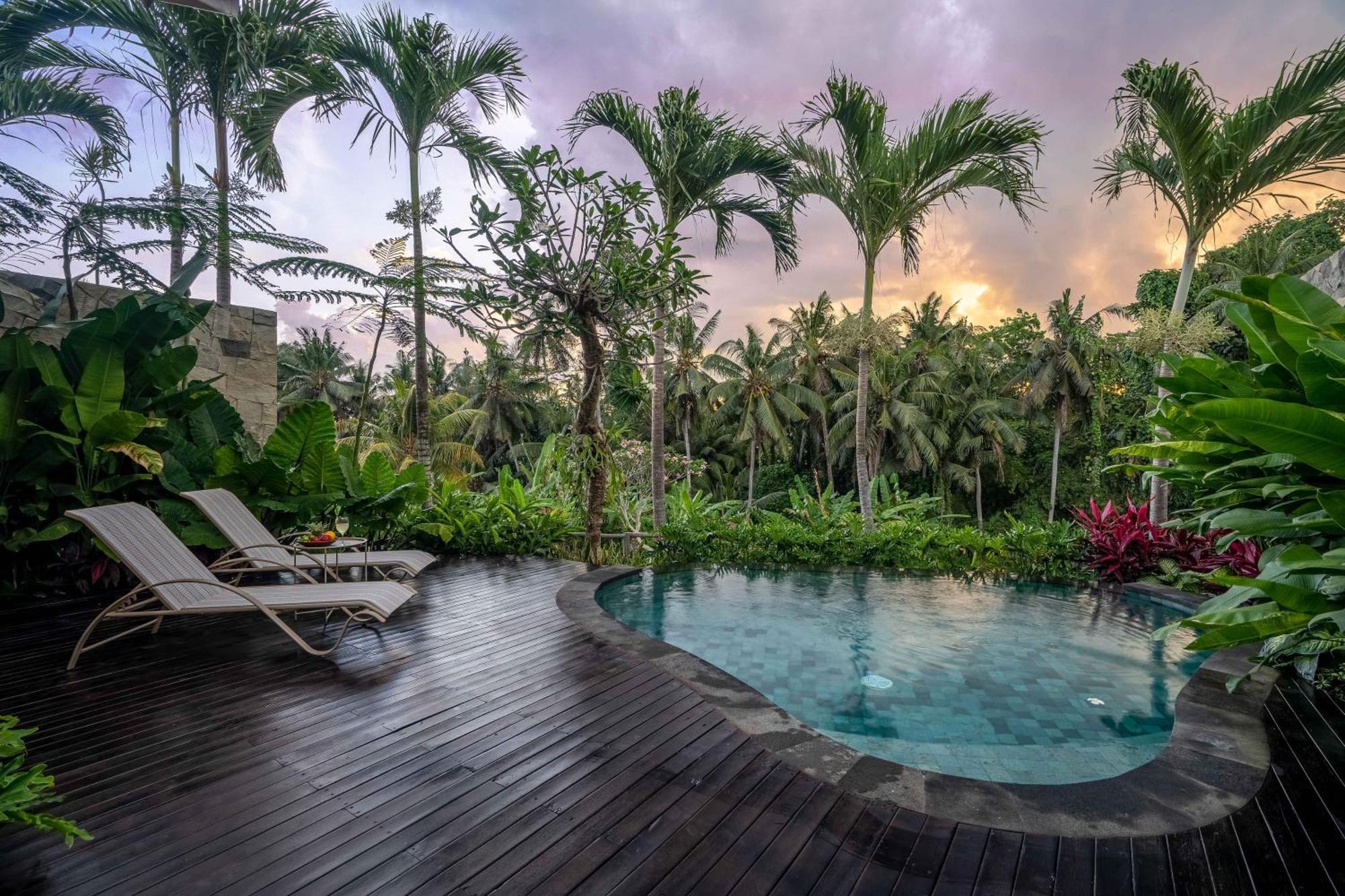 Hotel Rimba By Serenity *