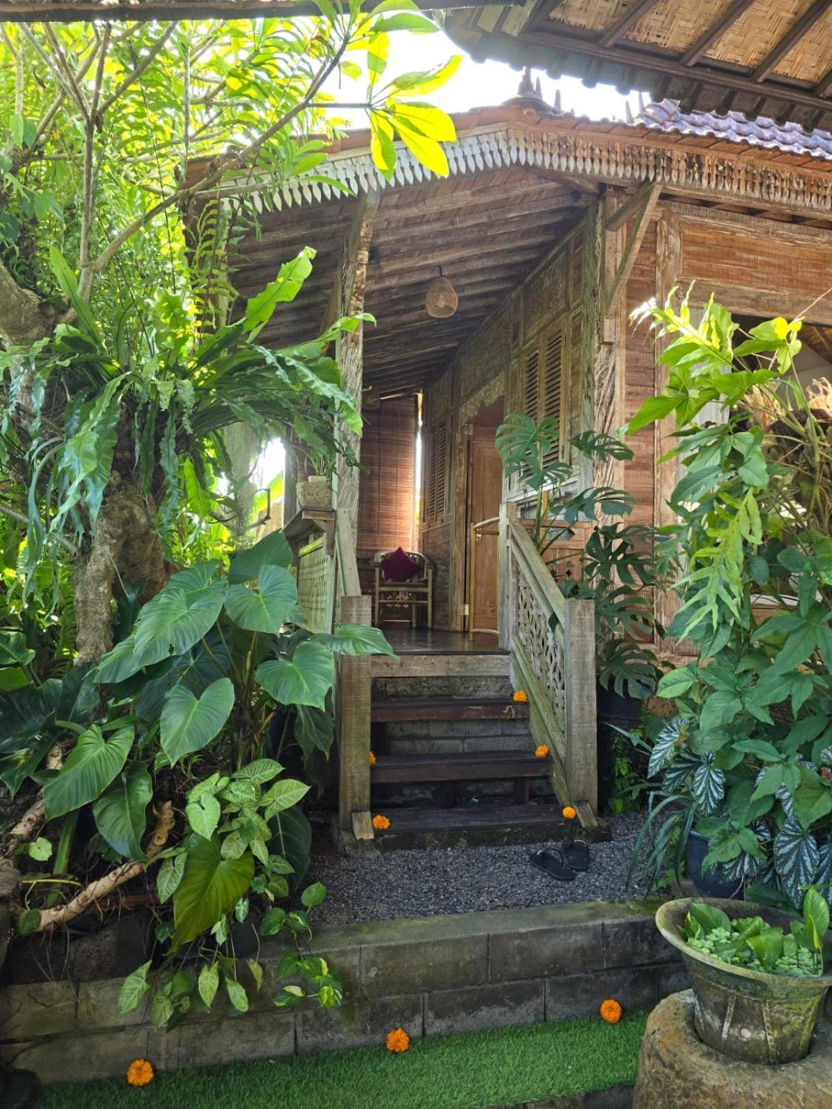 Aura Katil Ubud (Bali)