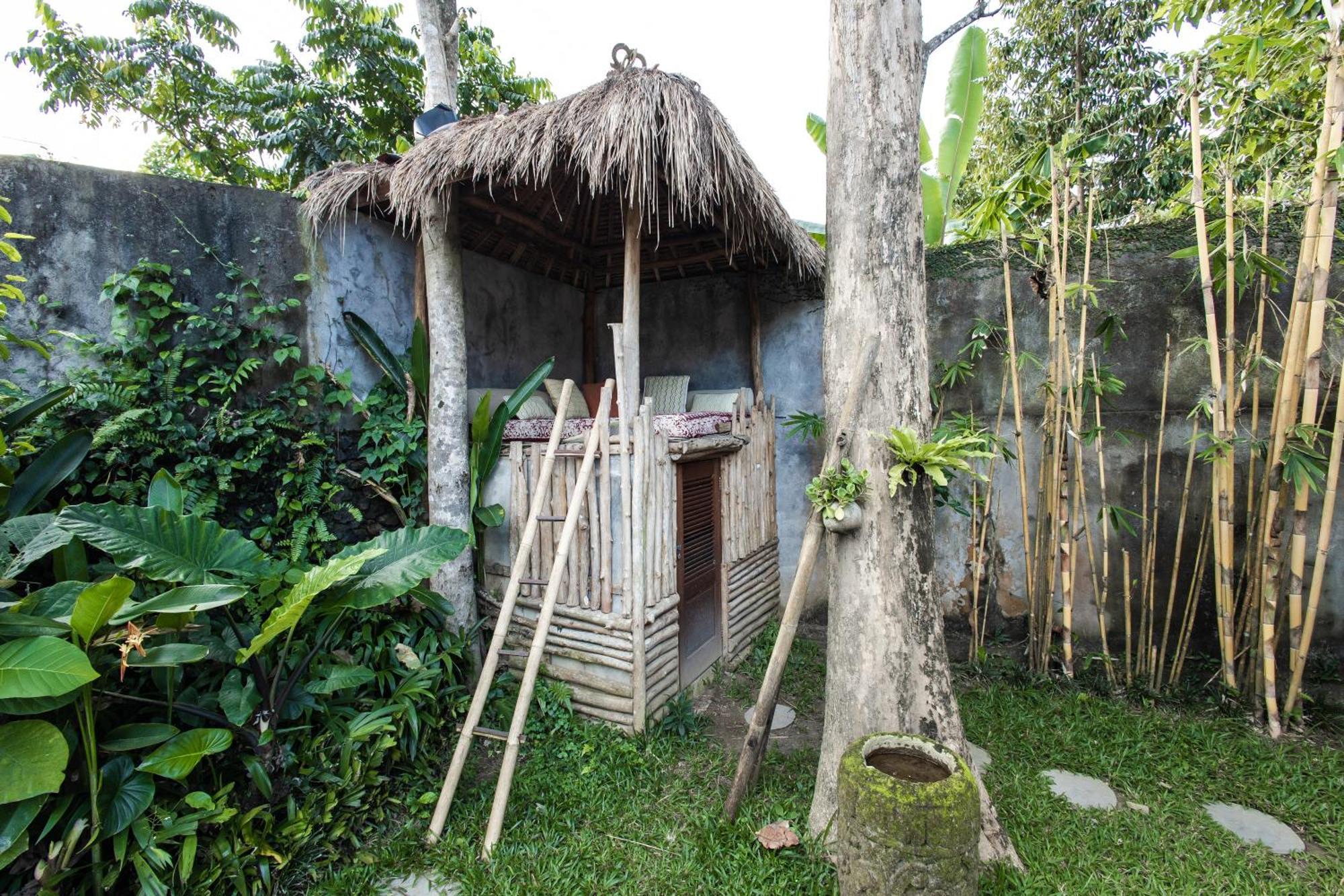 Peaceful Jungle Pool In Sayan *