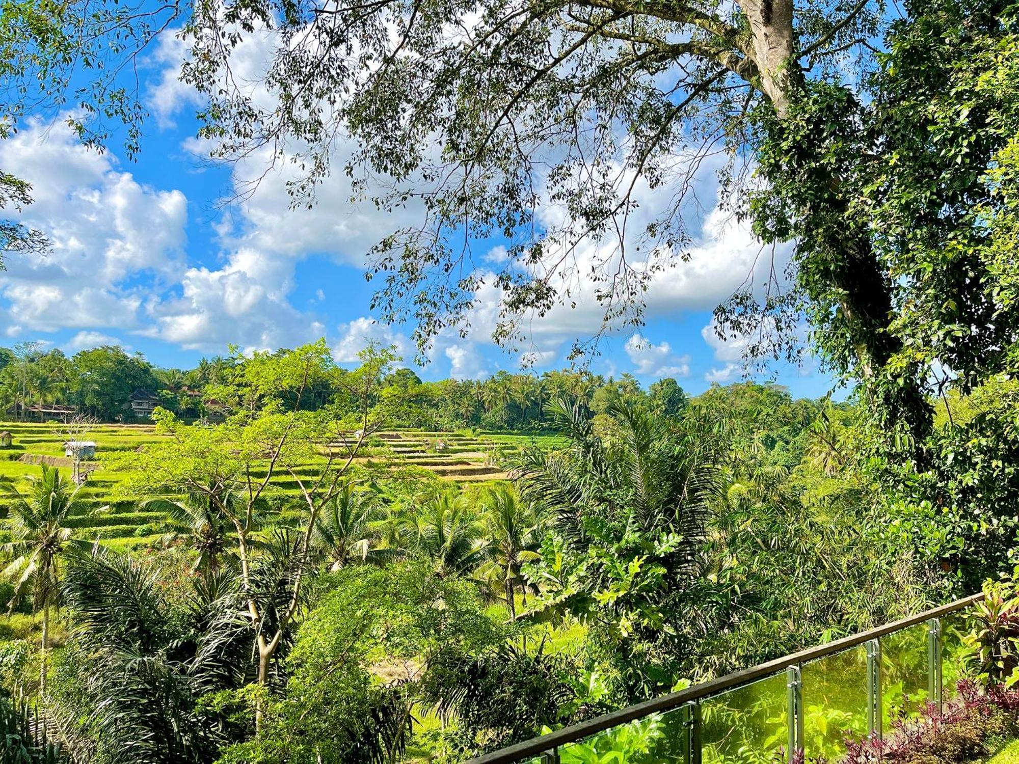 Permata Ayung Private Estate (adults Only) Villa