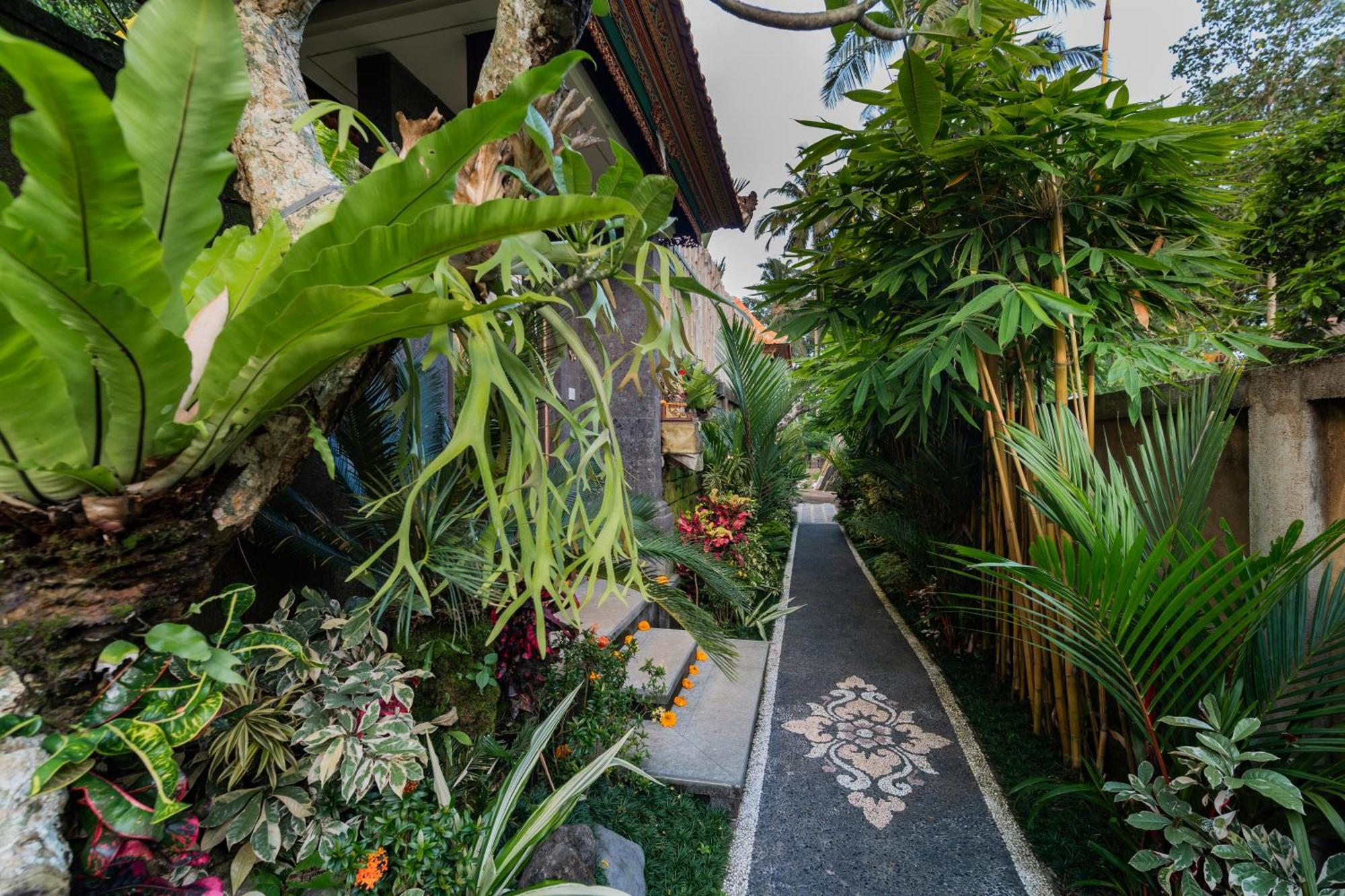 Jaya * Ubud