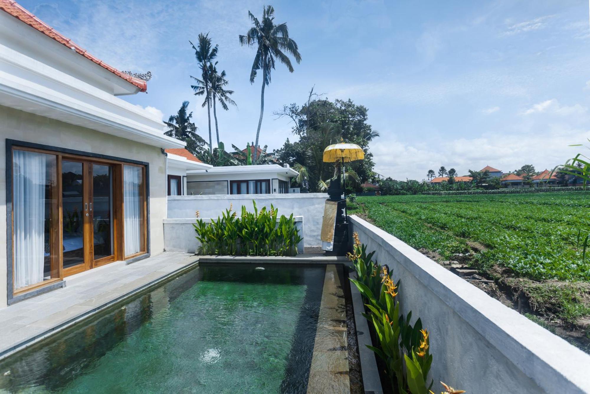 Eka * Ubud (Bali)