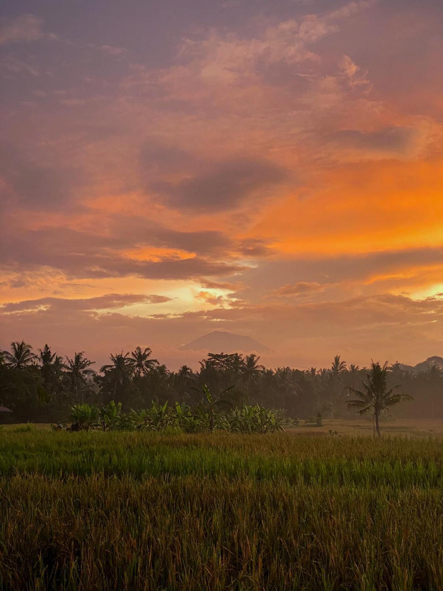 Romansa Ubud