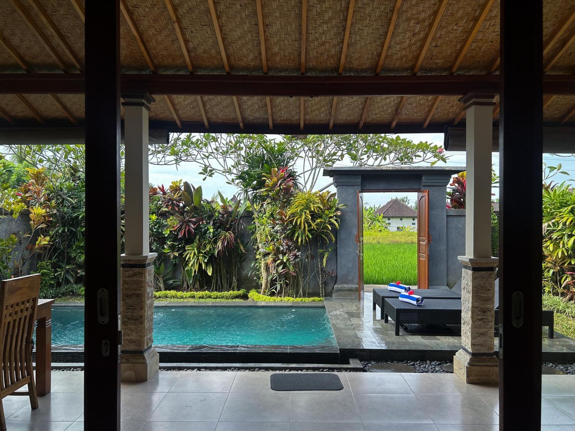 Edi Ubud (Bali)