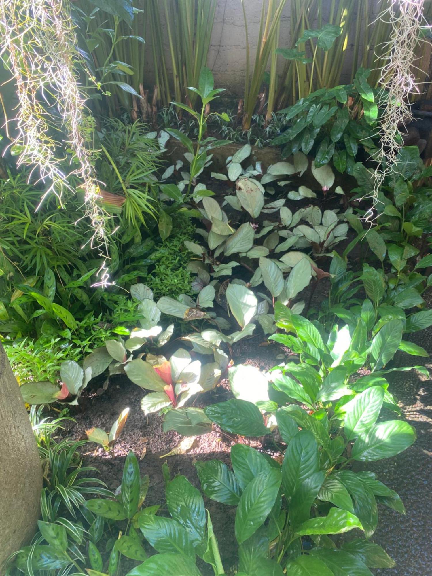 Gasthuis Suryadina Ubud