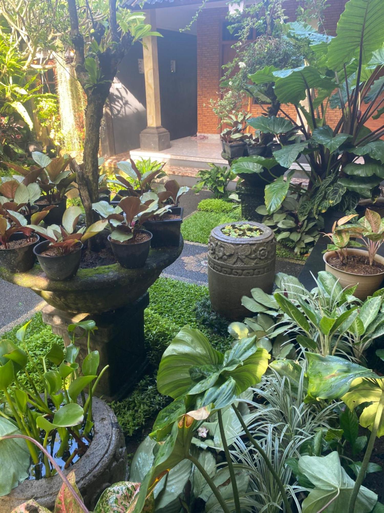 Suryadina Ubud