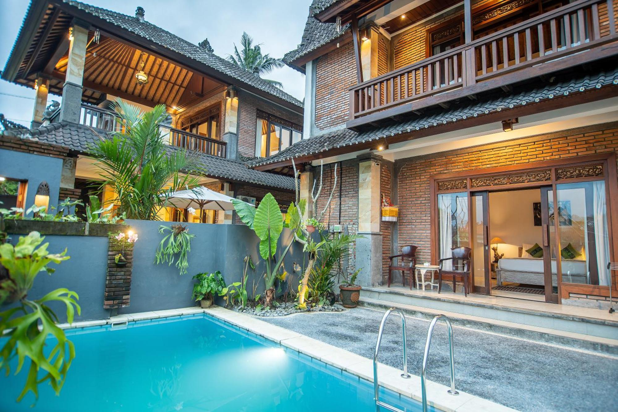 Suar * Ubud (Bali)