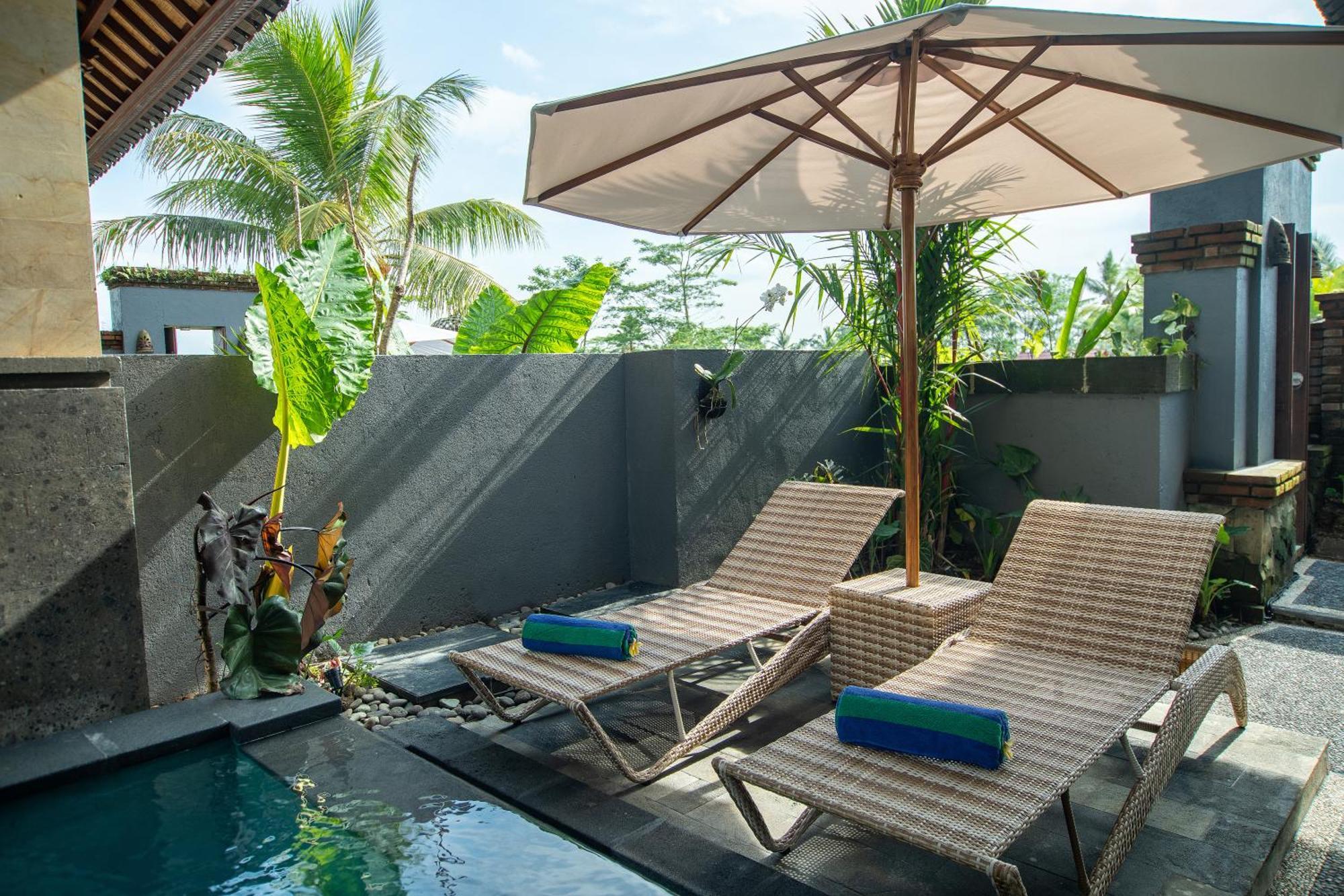 Apartment Suar