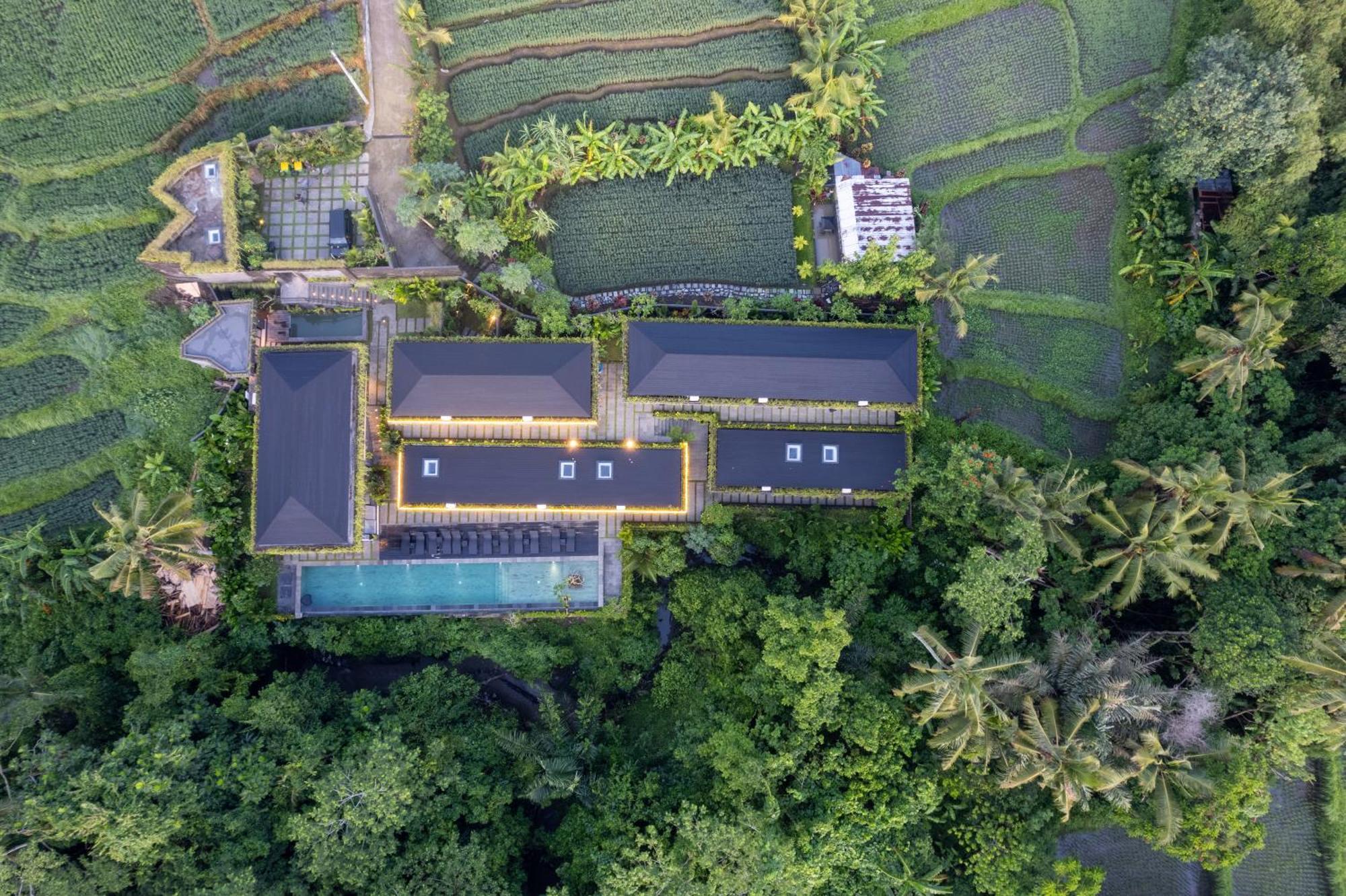 The Garden 4*