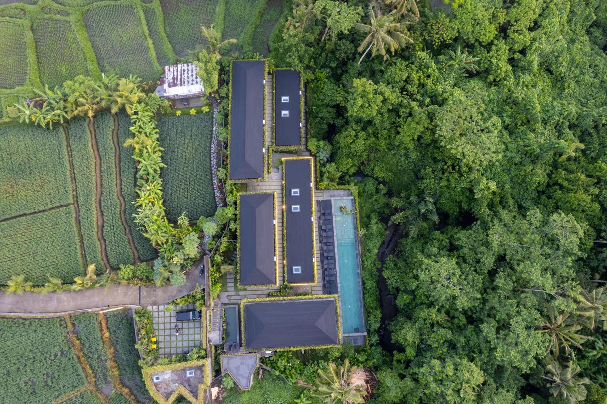 The Garden Ubud (Bali)
