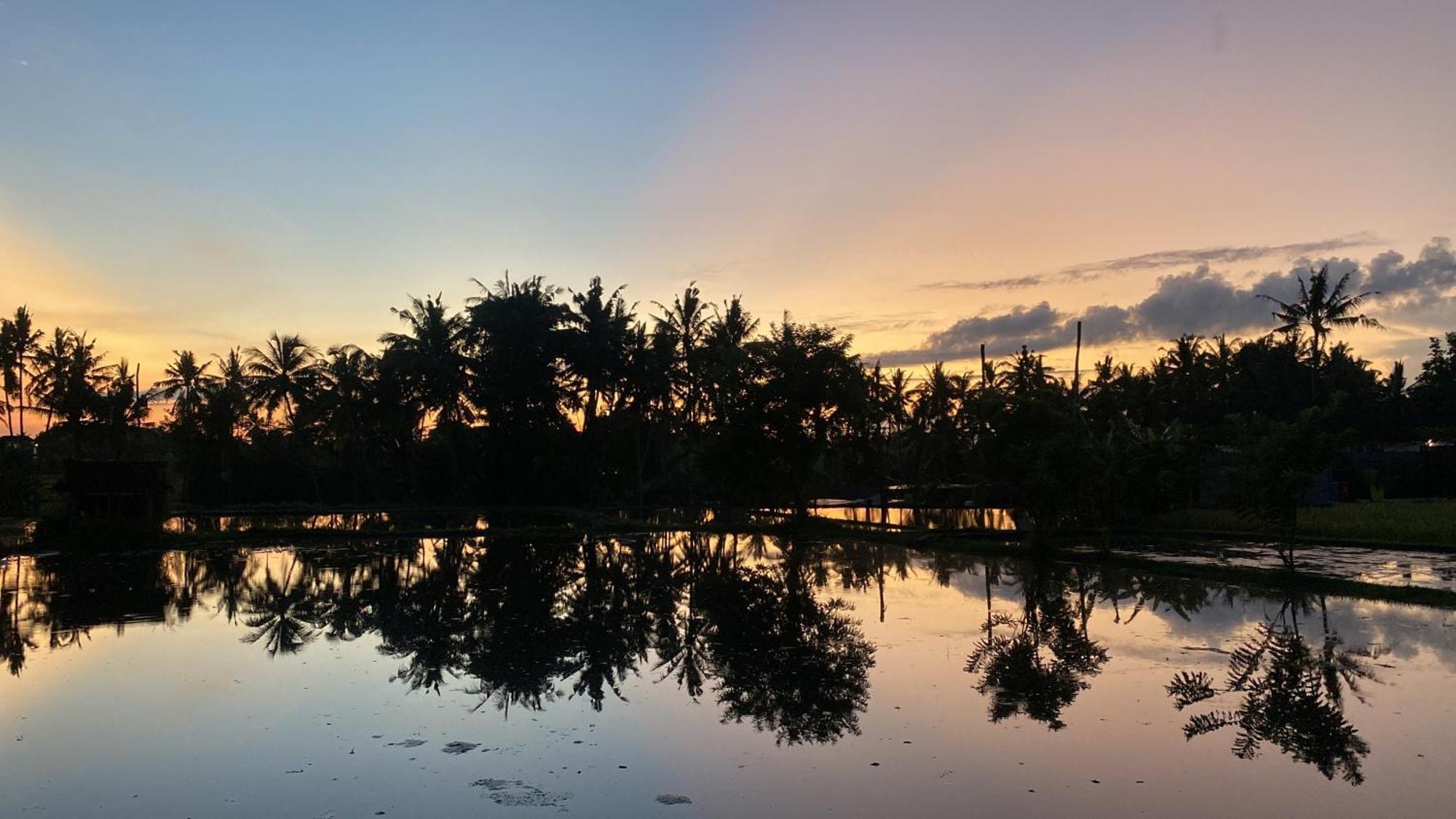 Mon Reve Villa Ubud (Bali)
