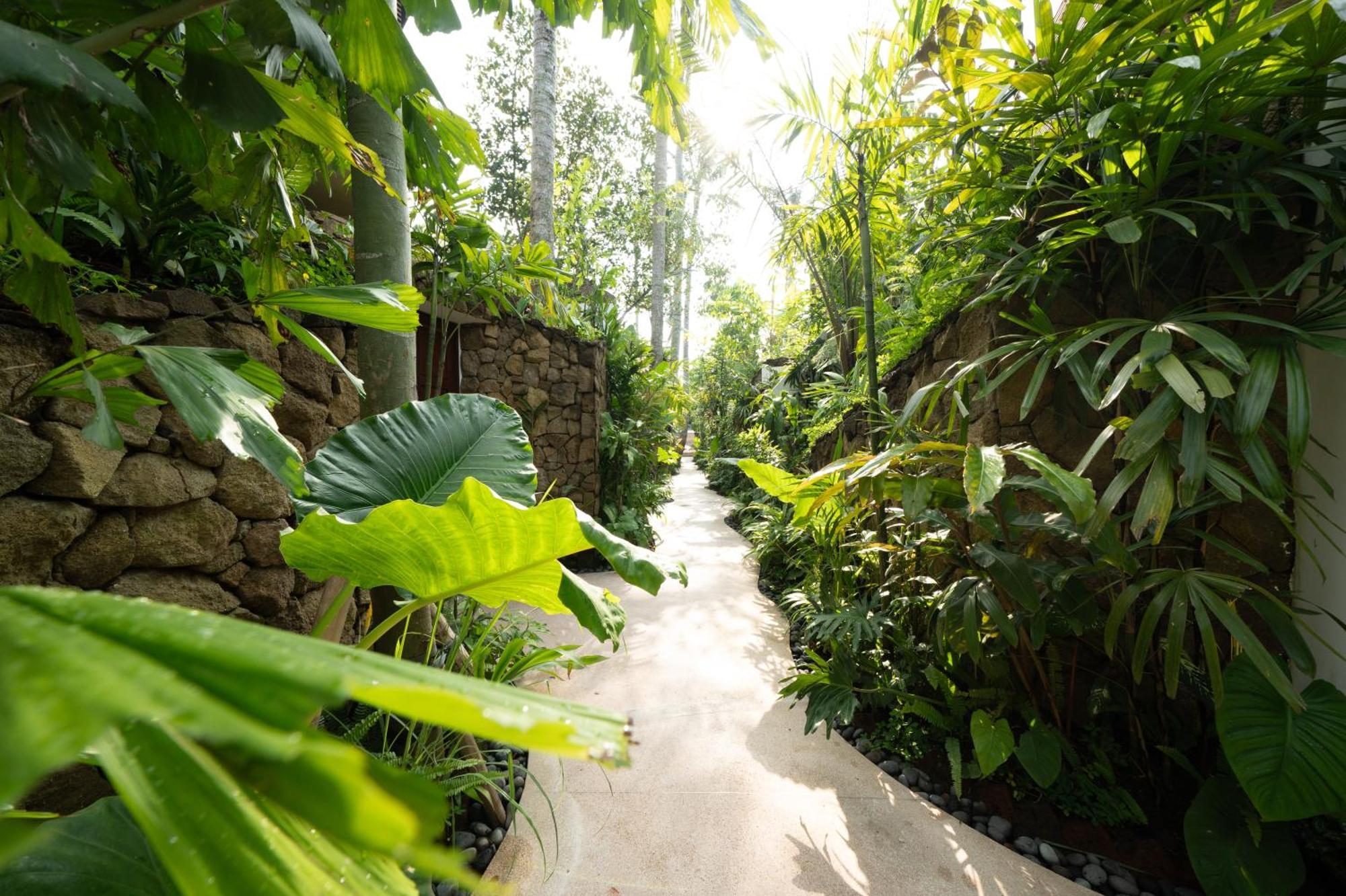 Jungle Flower Ubud (Bali)