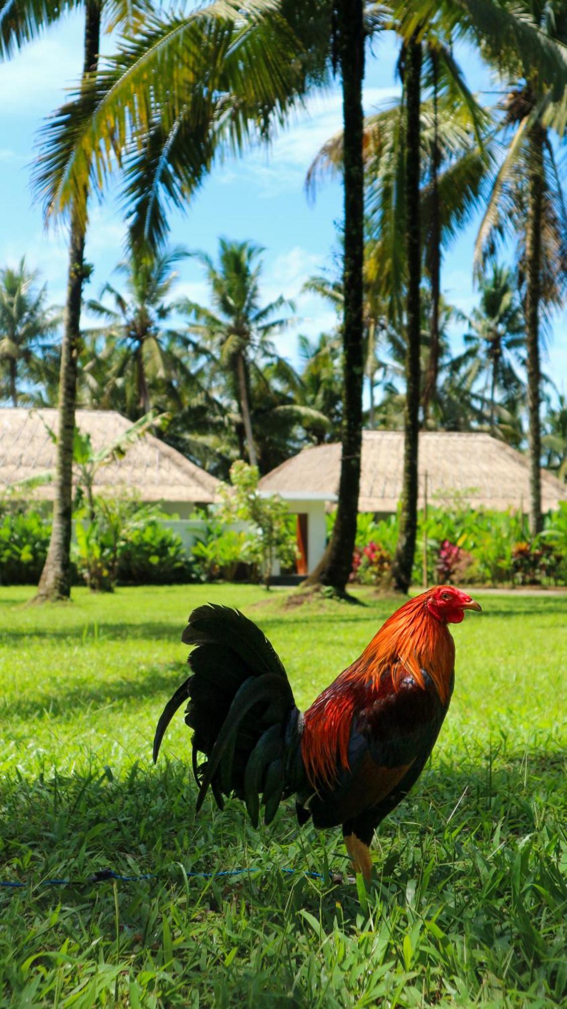 The Lanaya Villa *