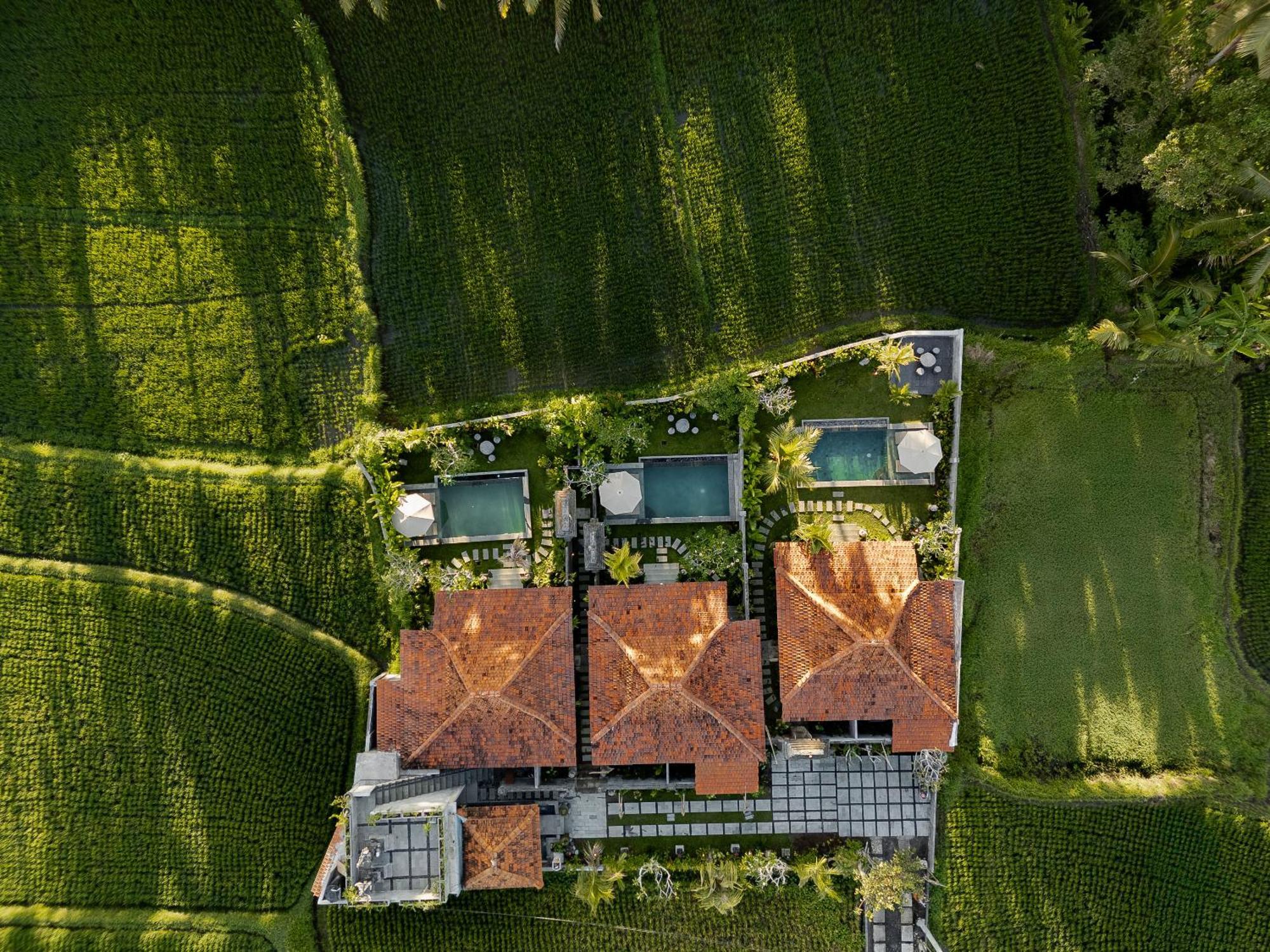 Kubu Cemcem Mesari Private * Ubud