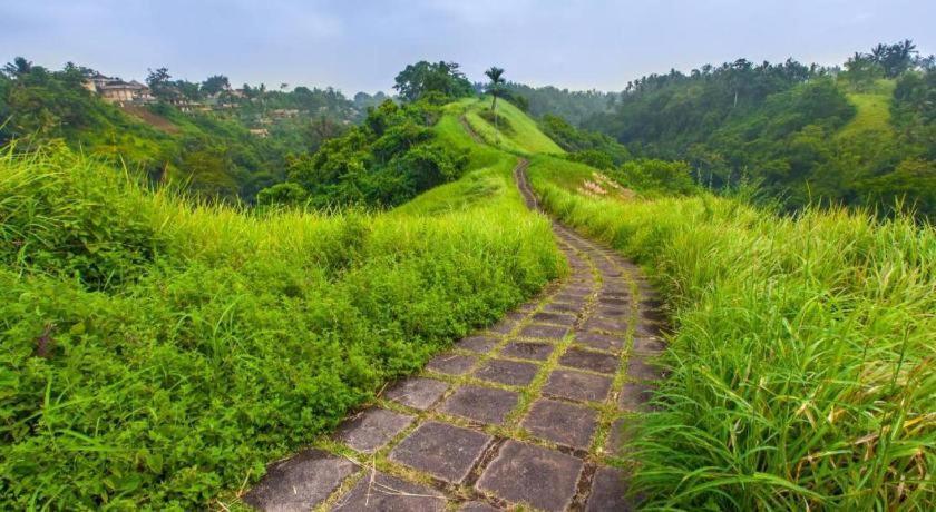 Nyoman Warta Accommodation