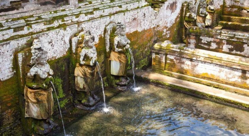 Nyoman Warta Accommodation Ubud (Bali)