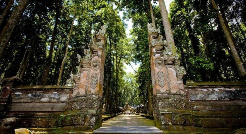 Hotel Nyoman Warta Accommodation