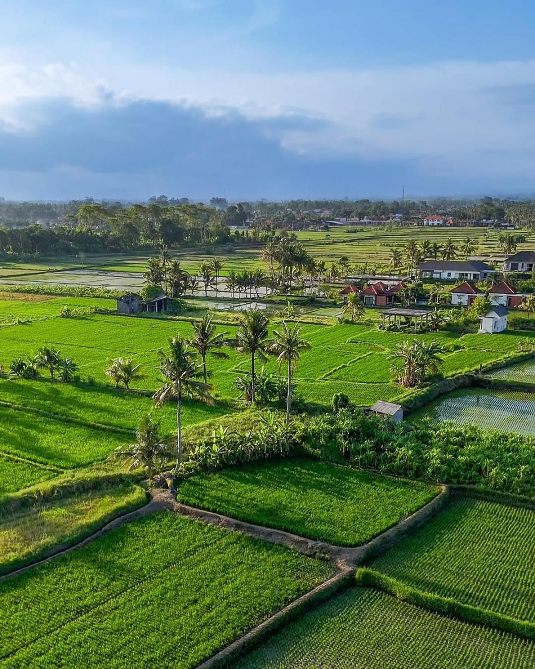 Villa Dituju By Pramana