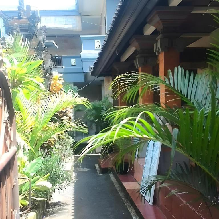 Nyoman Warta Accommodation