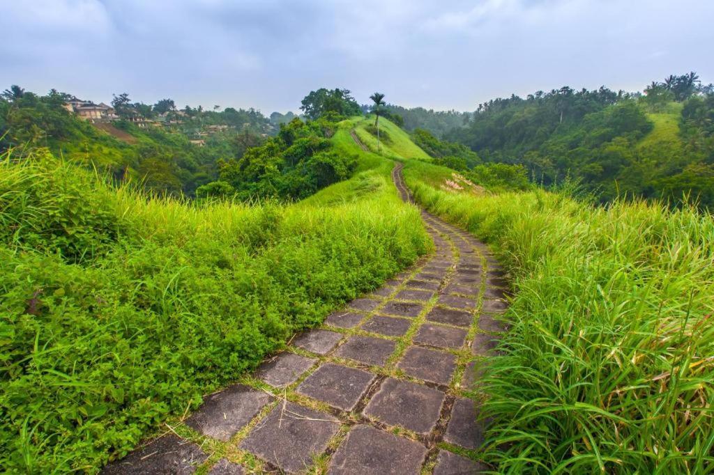 Hotel Nyoman Warta Accommodation
