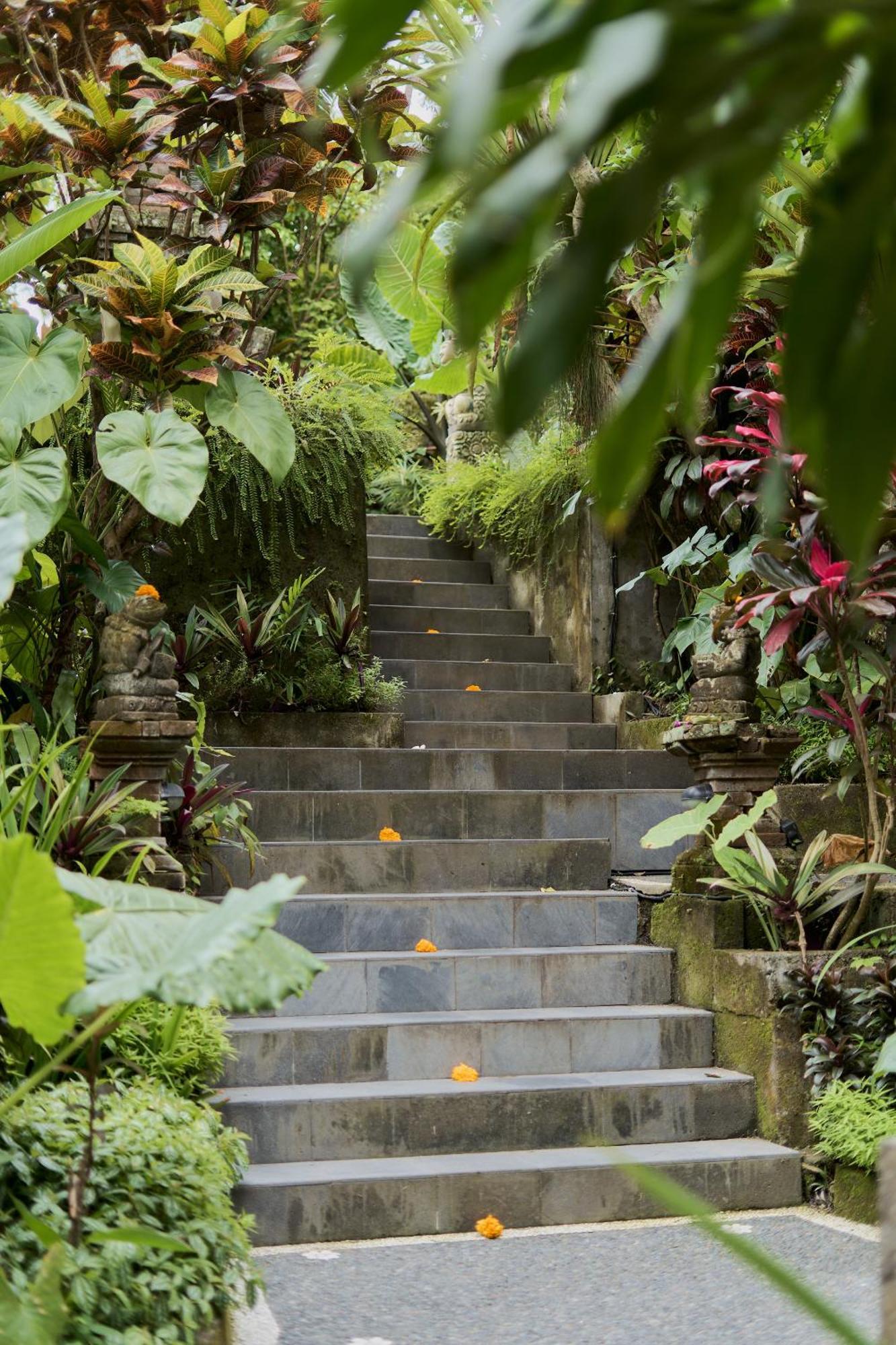 Sama's And 3* Ubud (Bali)