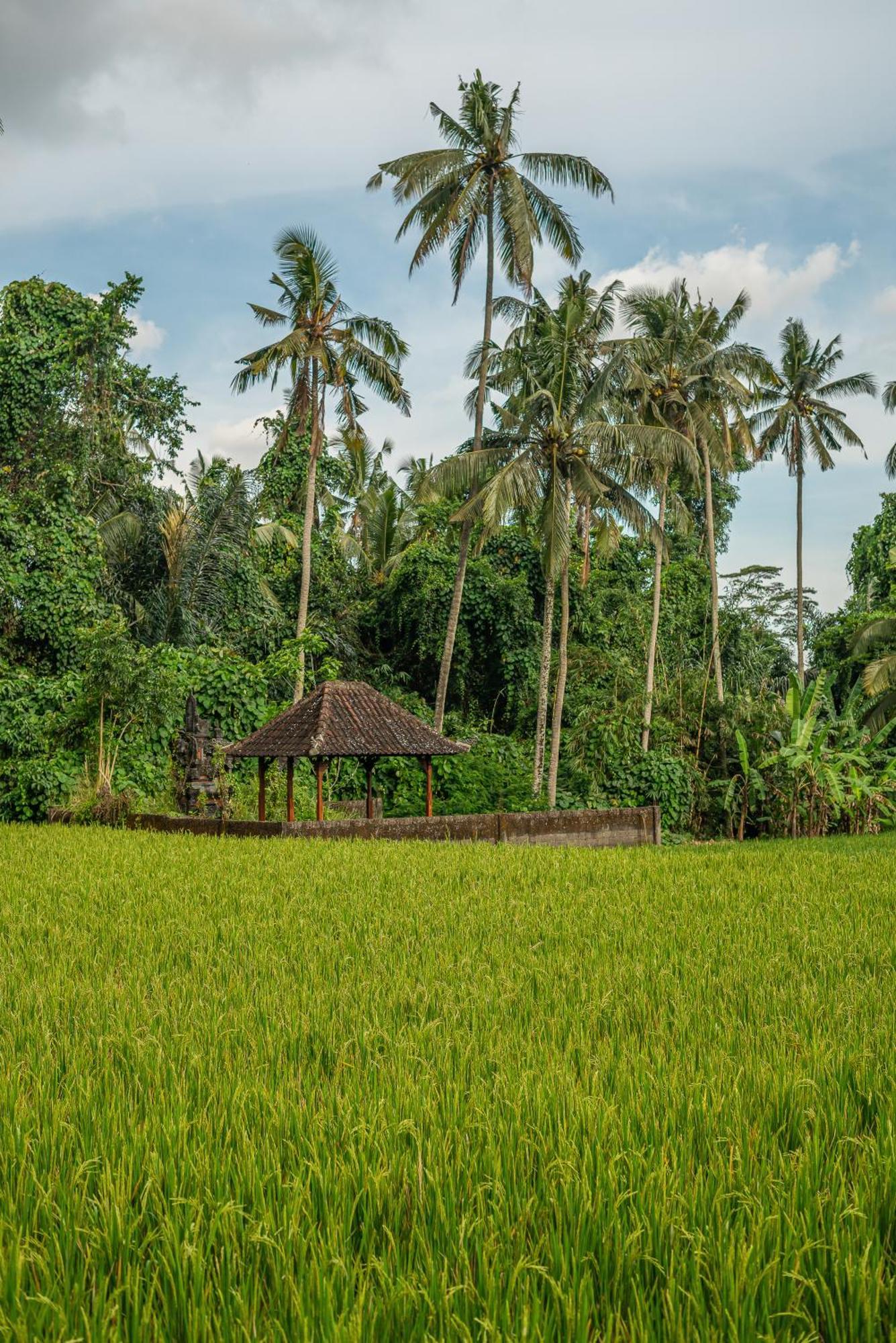 Xanadu - Epic 5br Villa, Unreal Views & Large Pool! Ubud